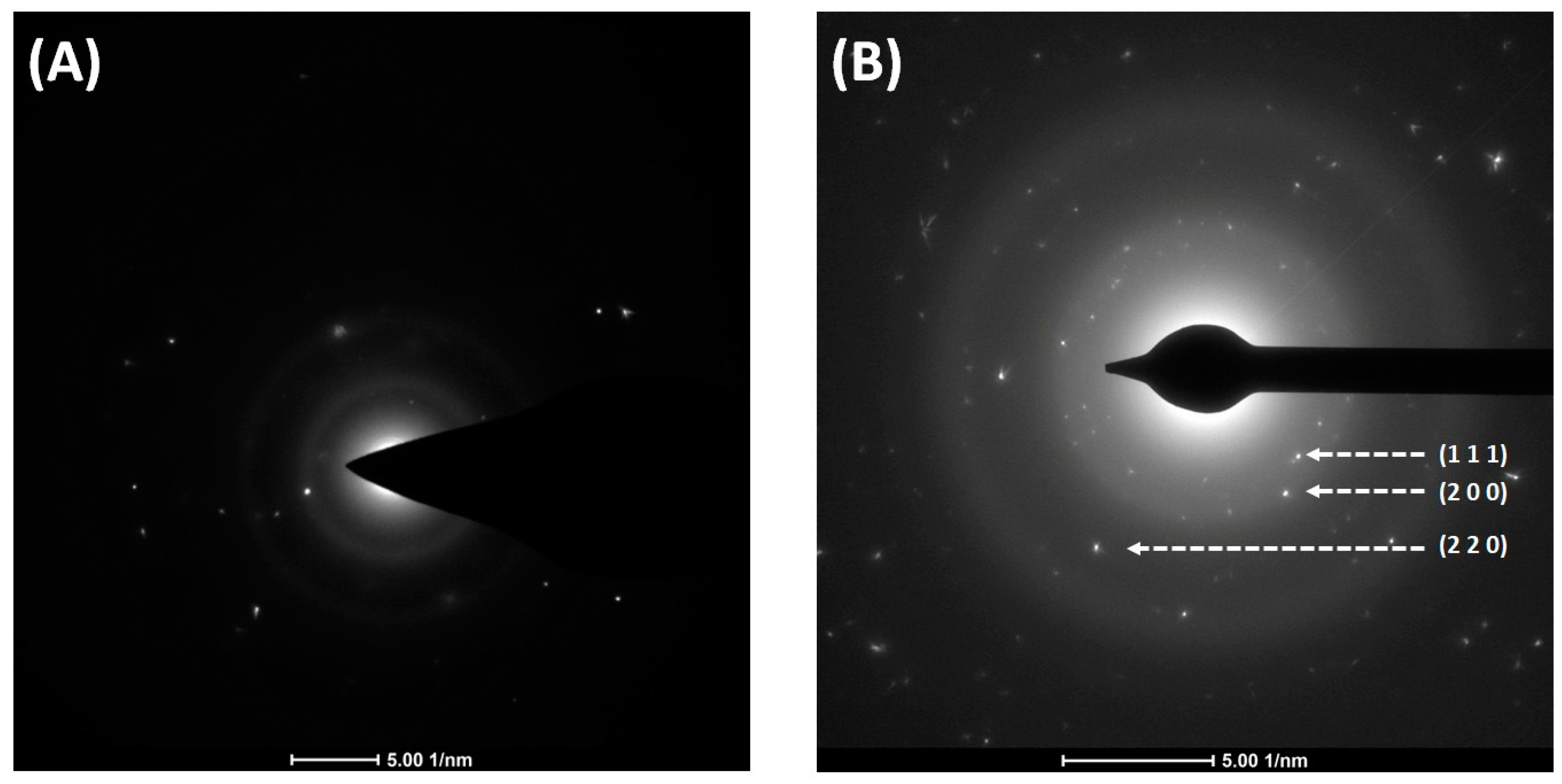 Molecules 30 00146 g009