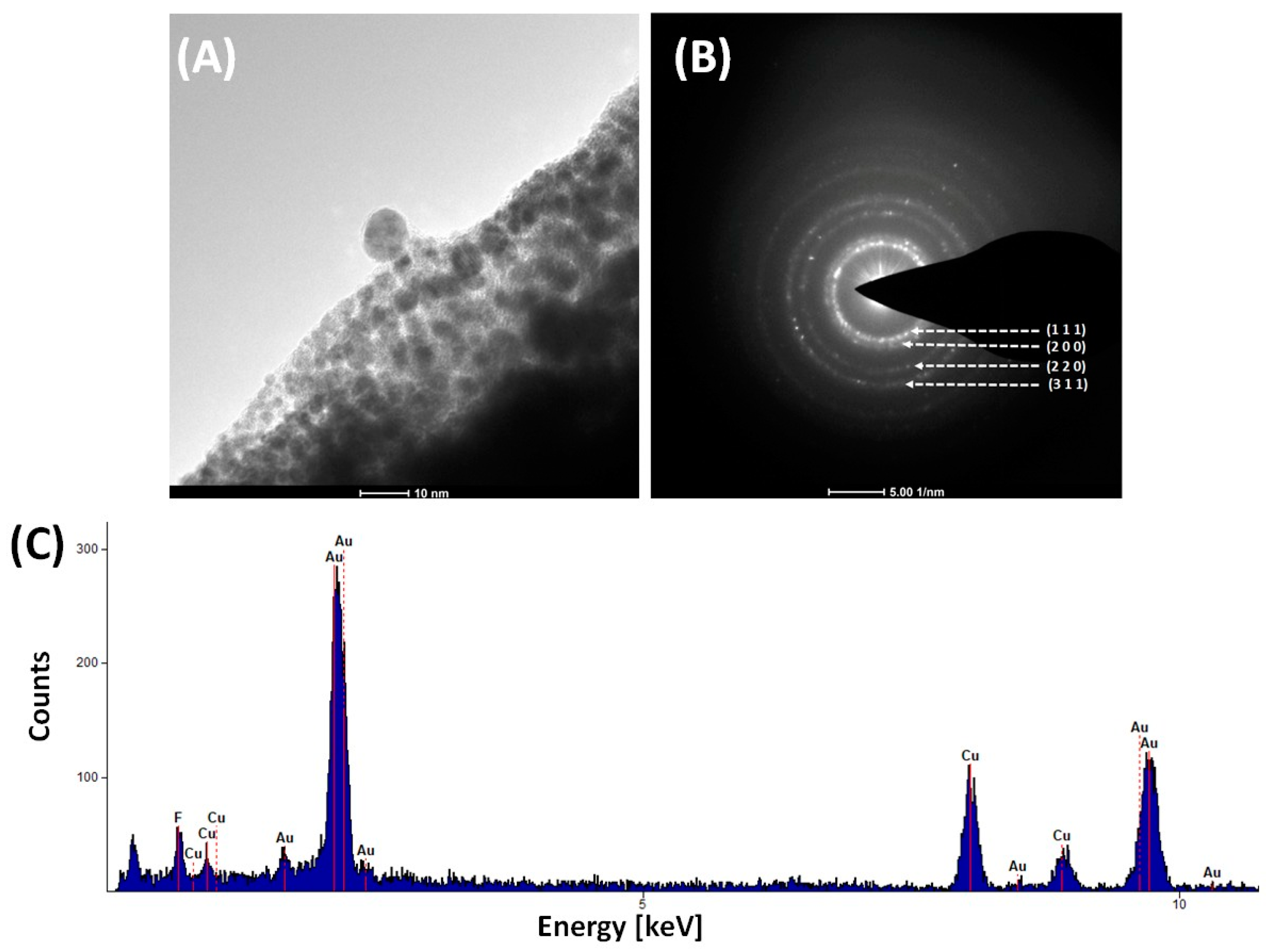 Molecules 30 00146 g014