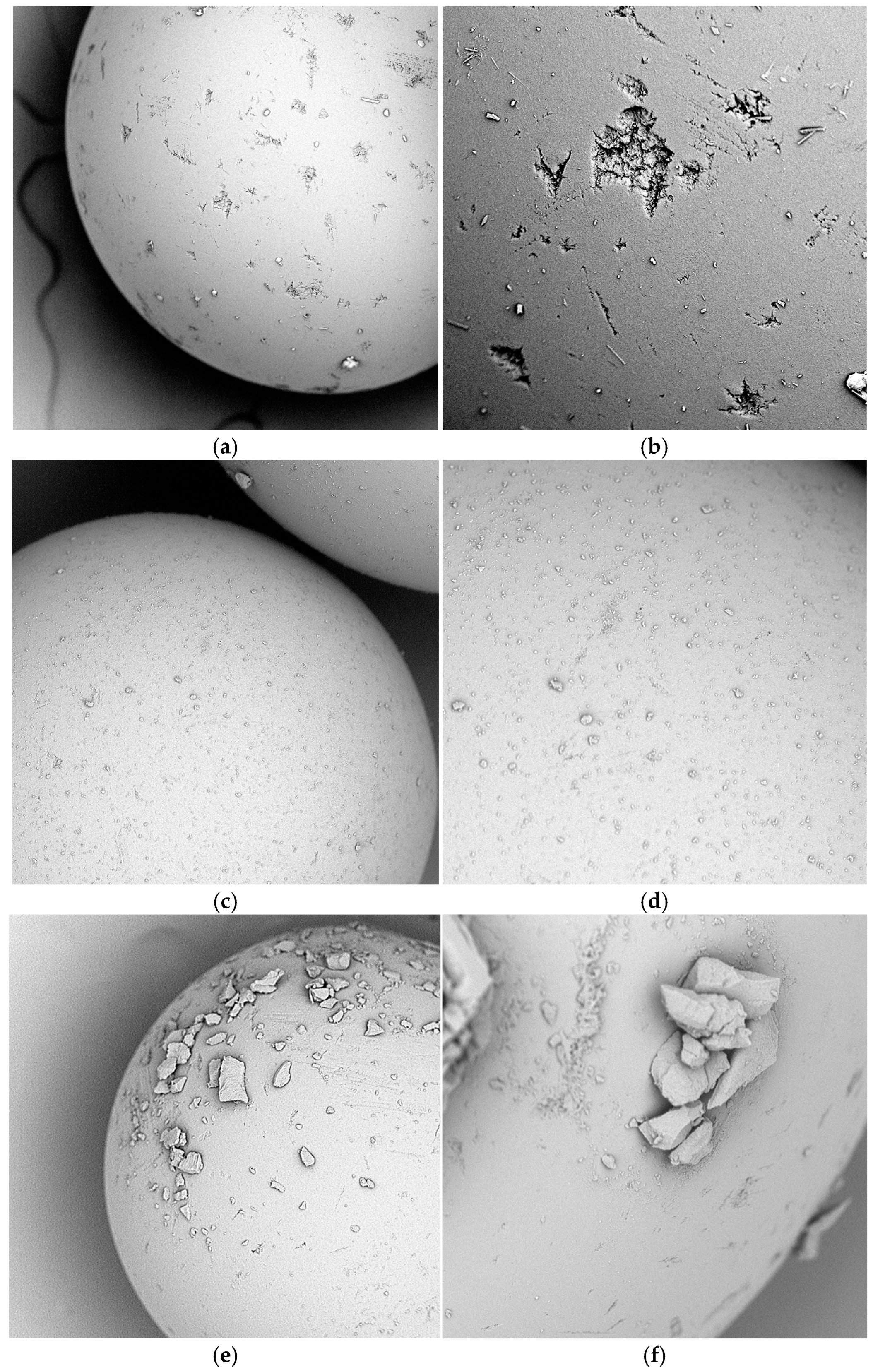 Molecules 30 00151 g001
