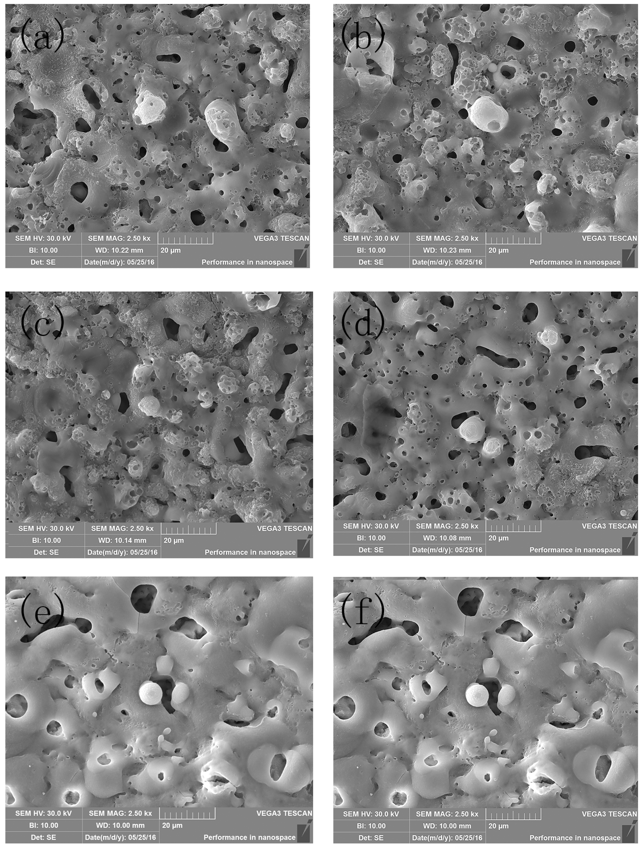 Molecules 30 00153 g001