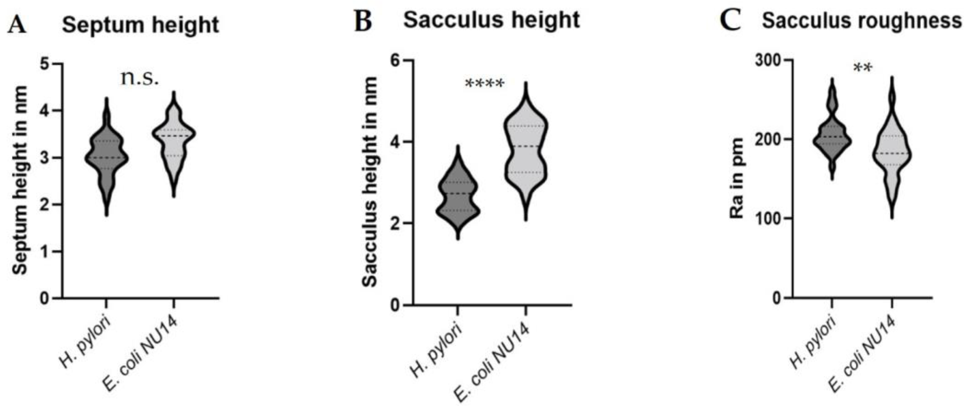 Molecules 30 00155 g004