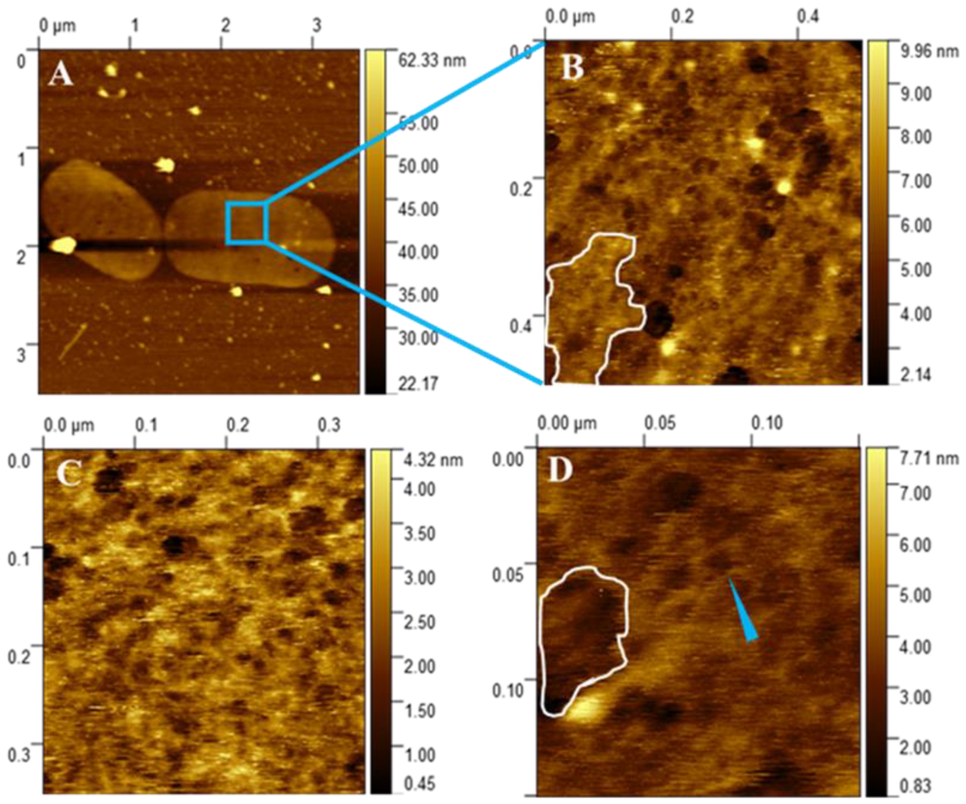 Molecules 30 00155 g005