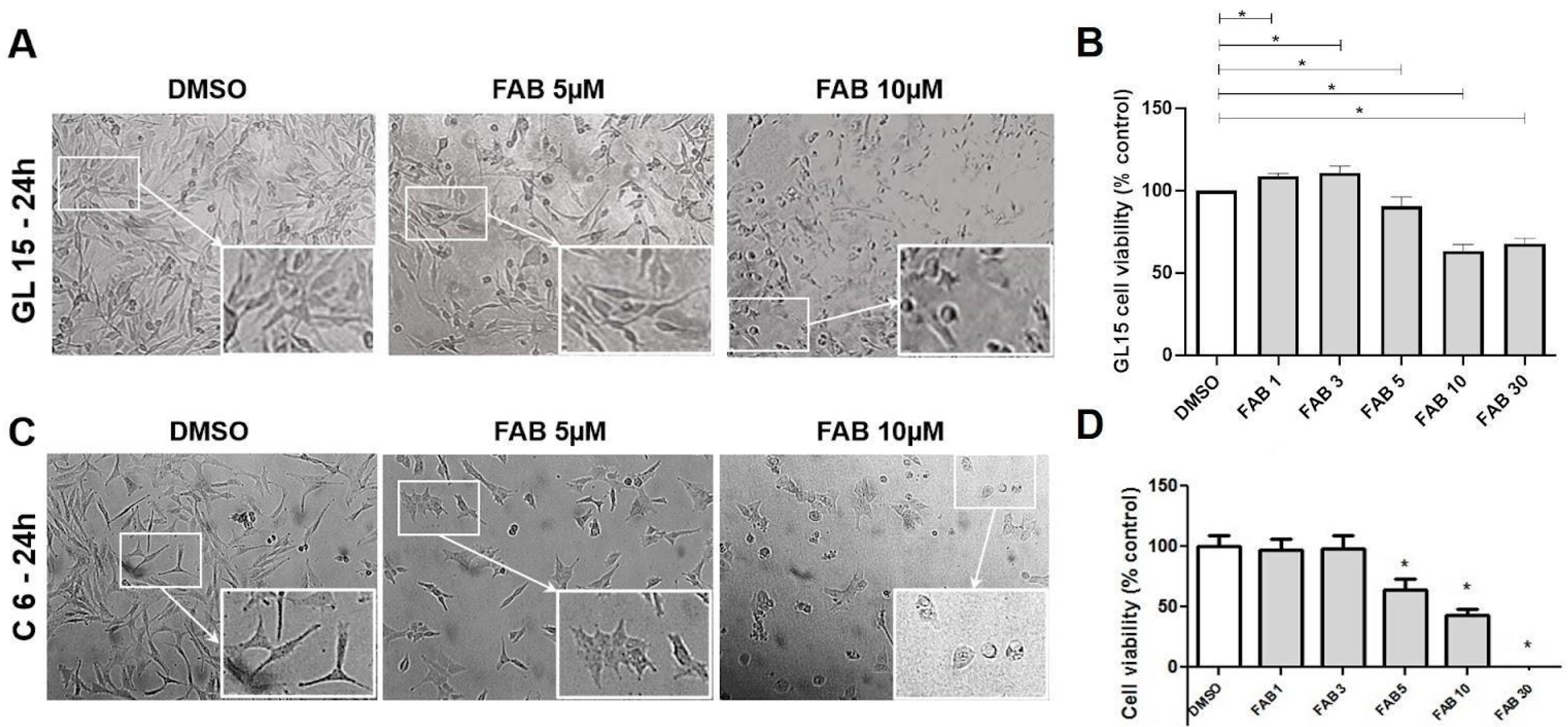 Molecules 30 00158 g001