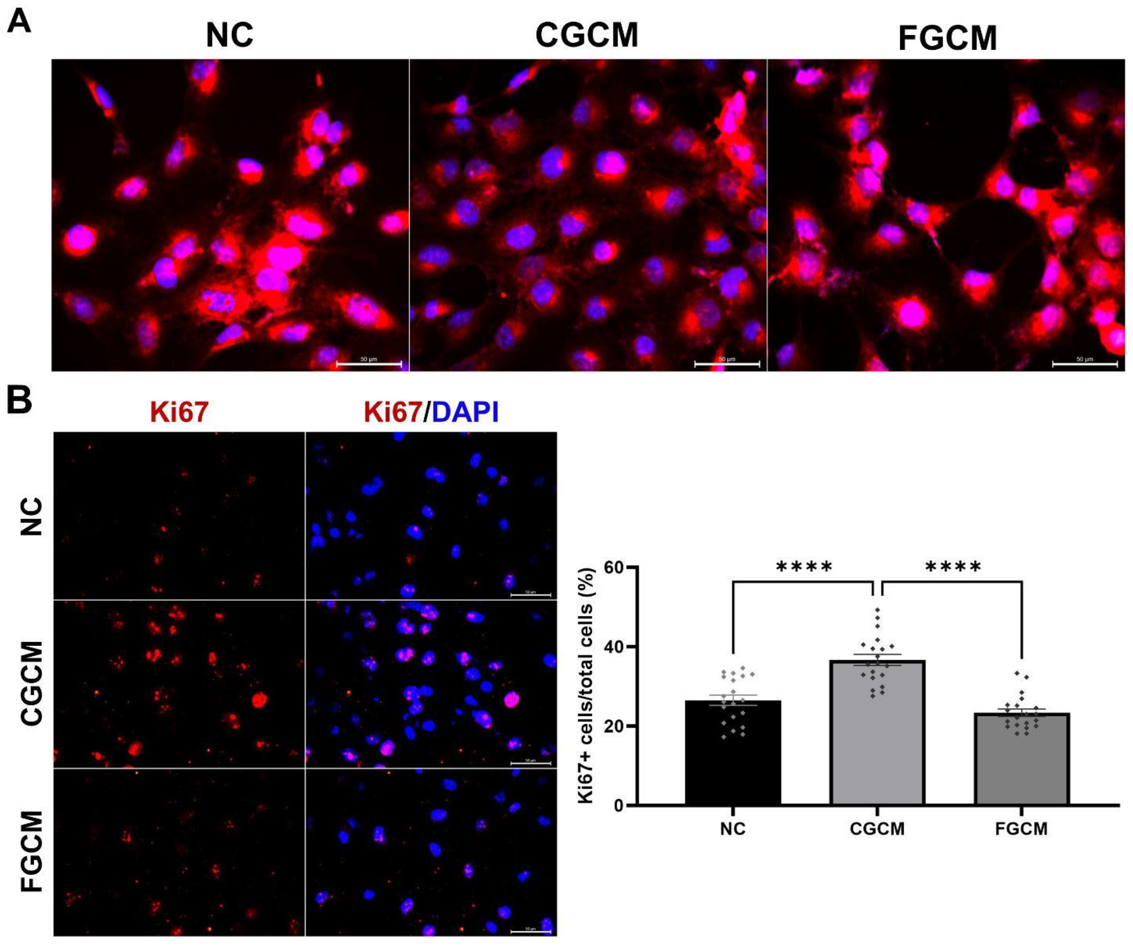 Molecules 30 00158 g005