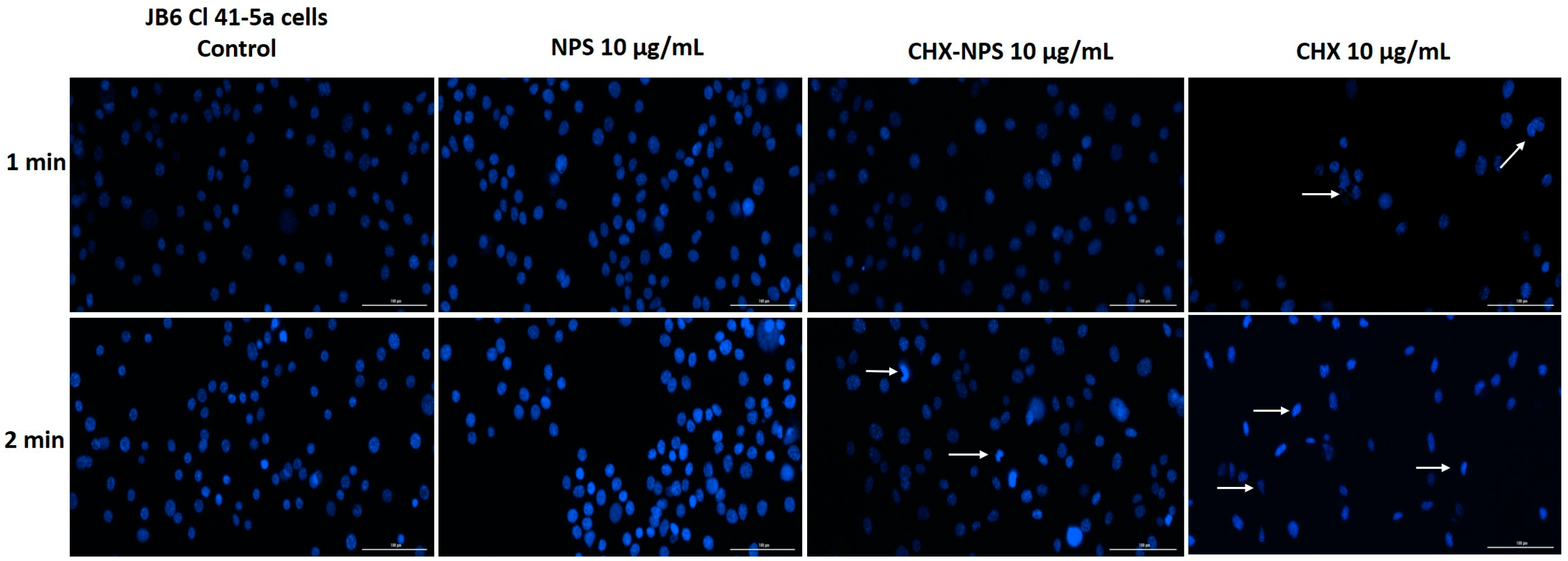 Molecules 30 00162 g006