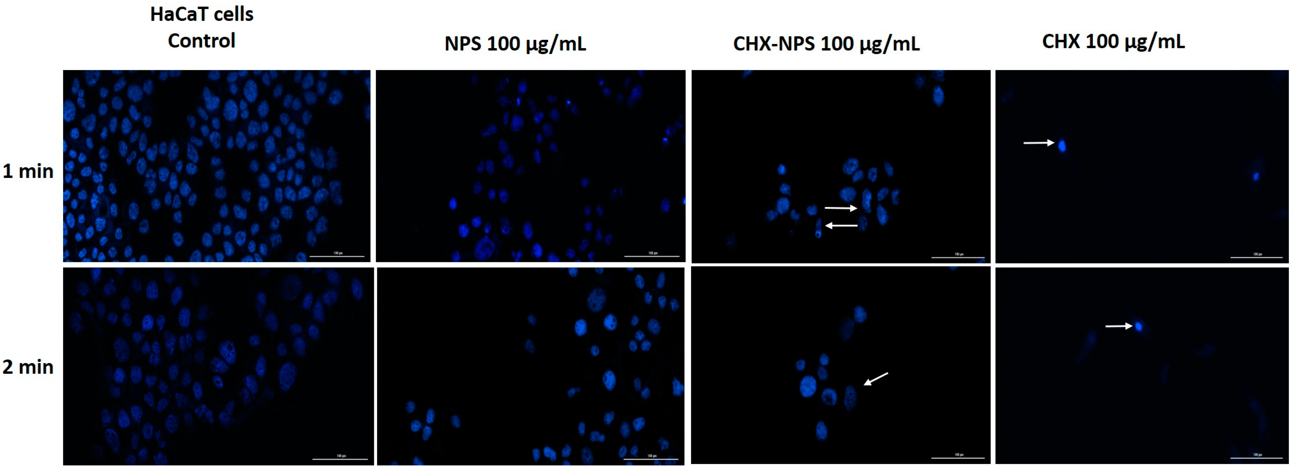 Molecules 30 00162 g009