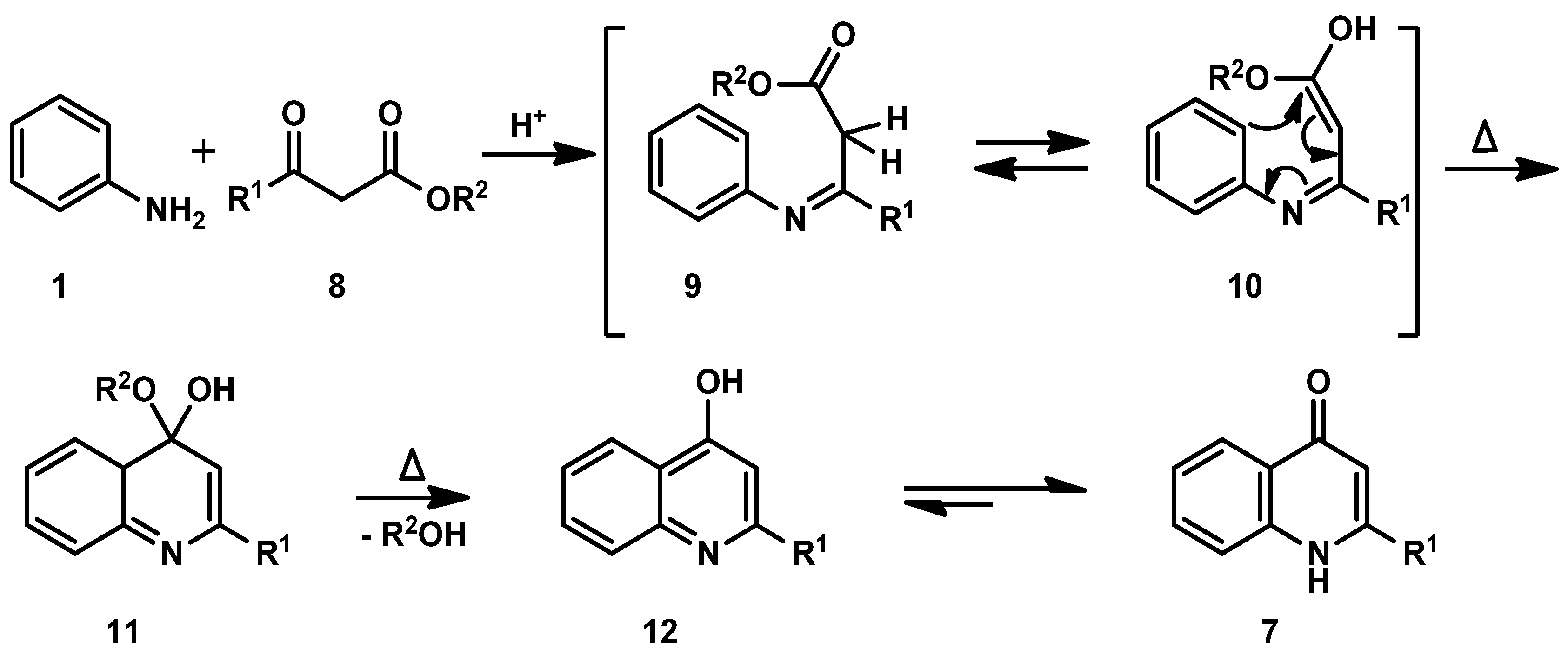 Molecules 30 00163 sch002