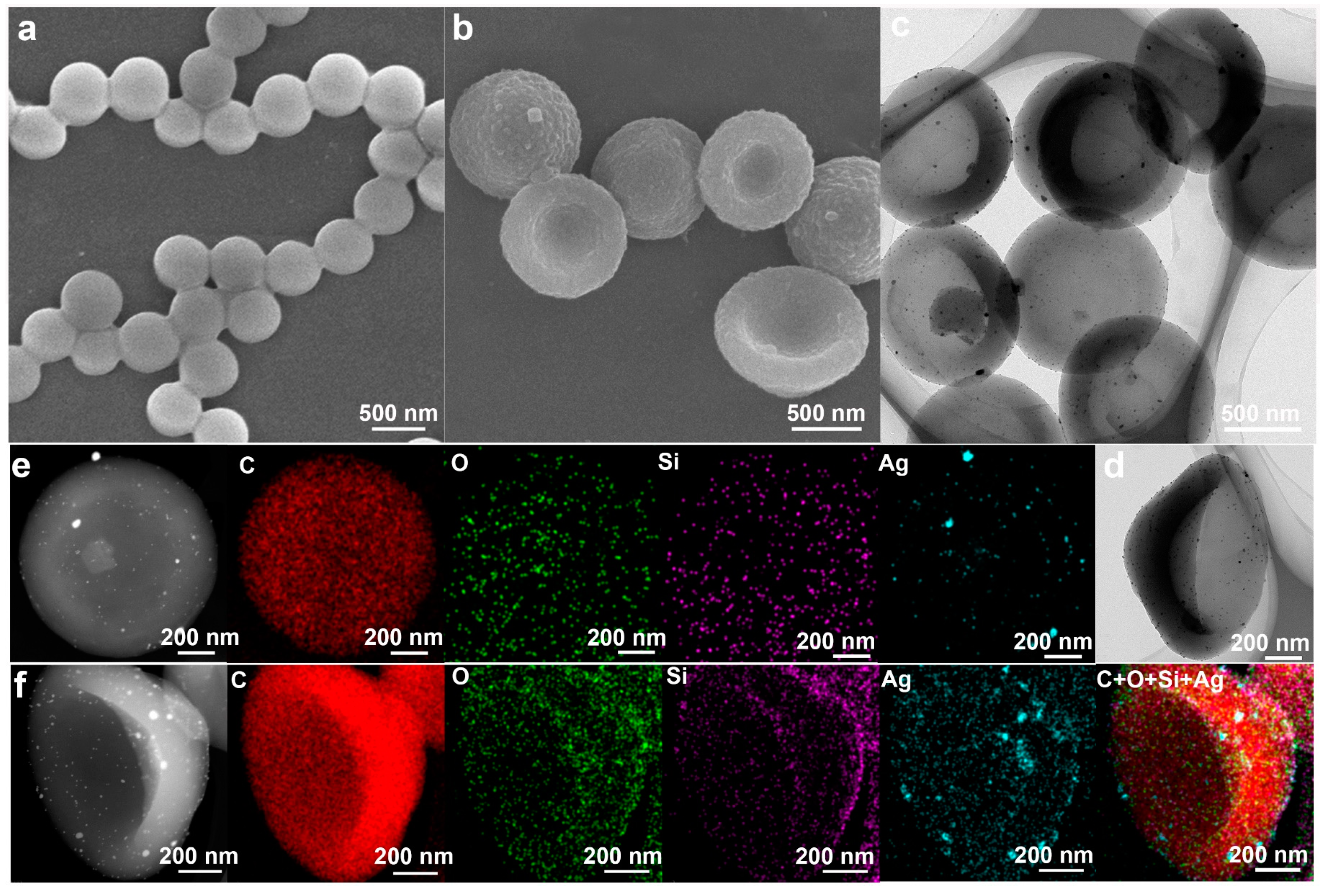 Molecules 30 00166 g002