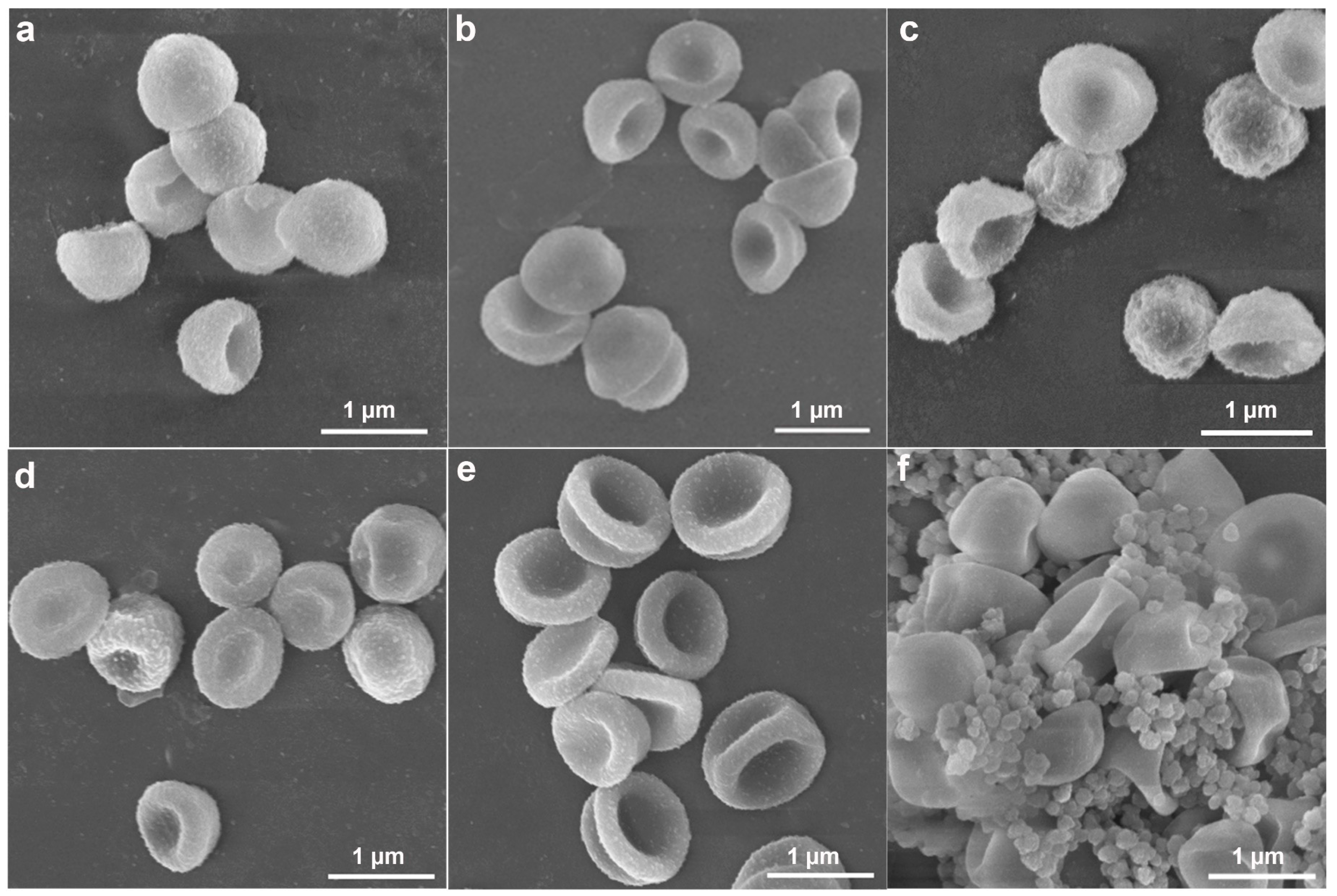 Molecules 30 00166 g009