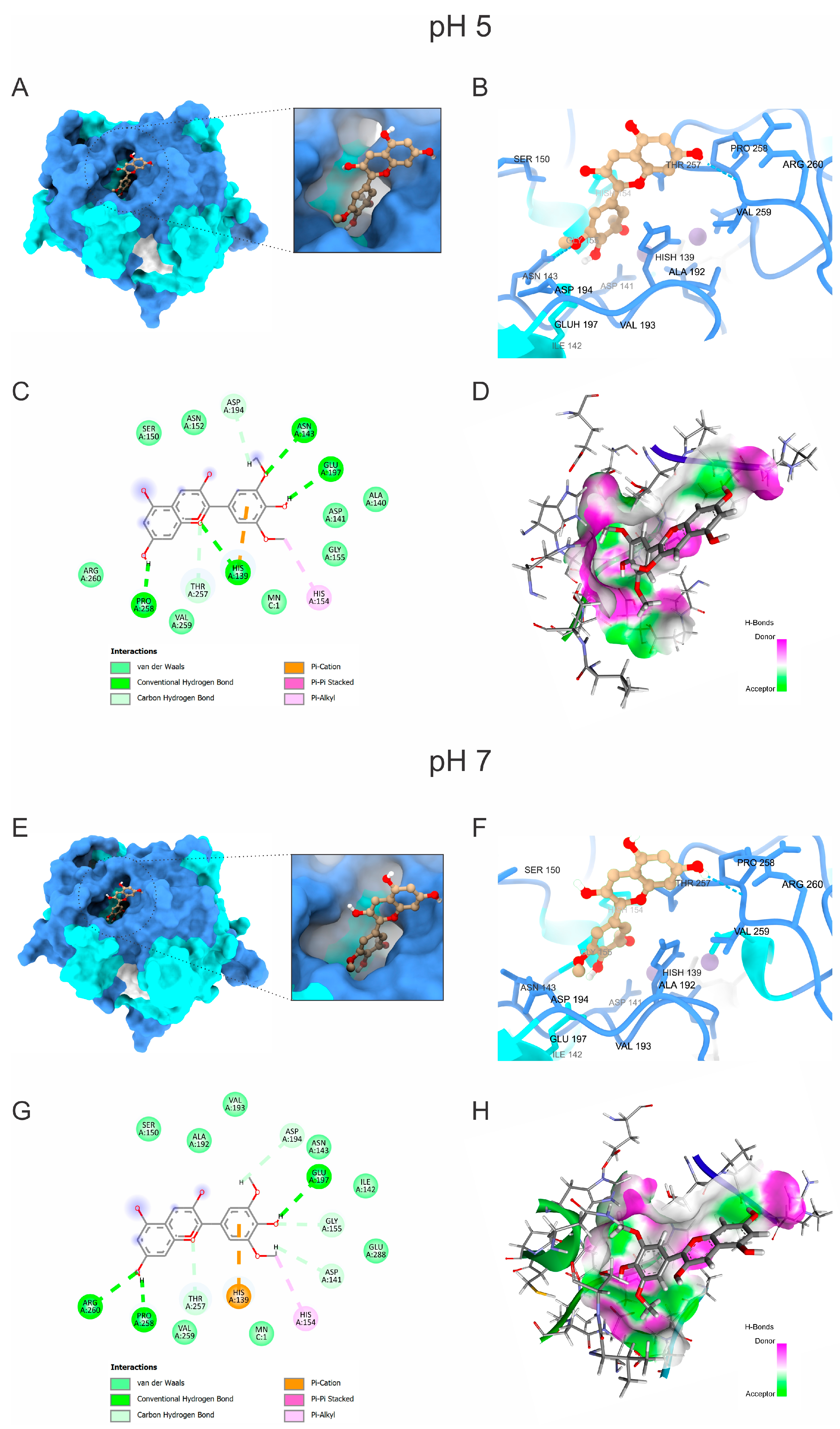 Molecules 30 00173 g004