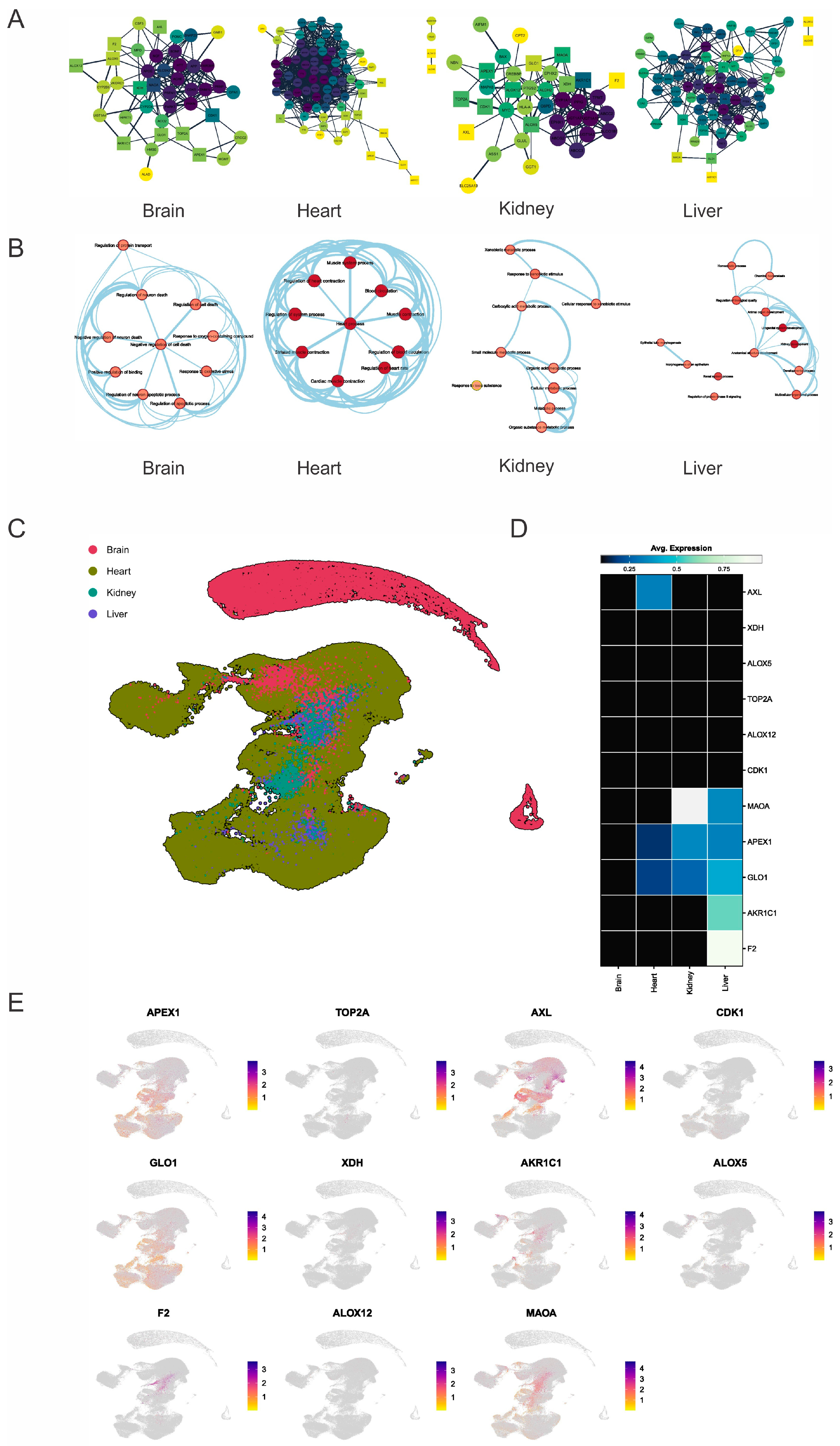Molecules 30 00173 g005