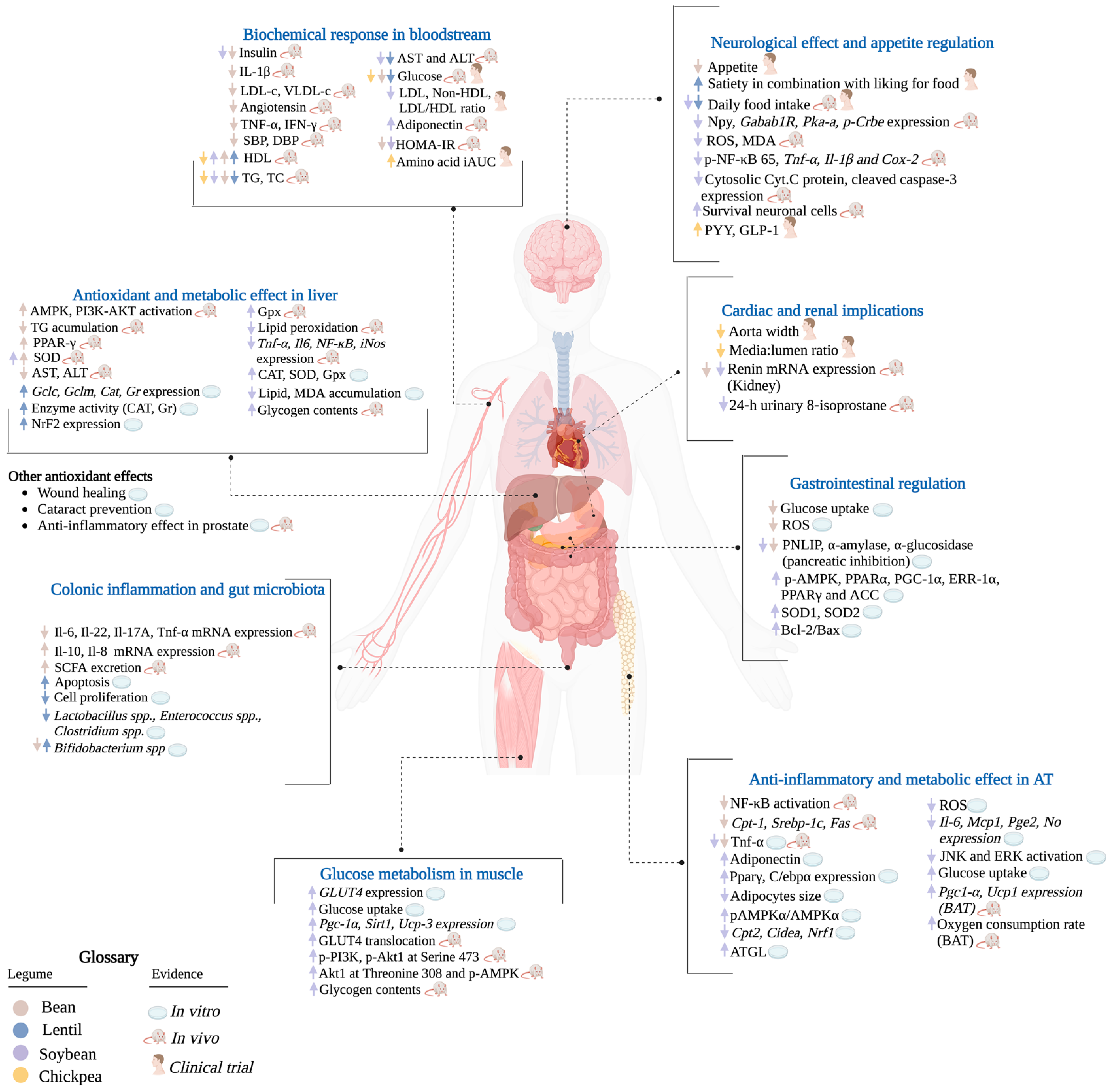 Molecules 30 00174 g003