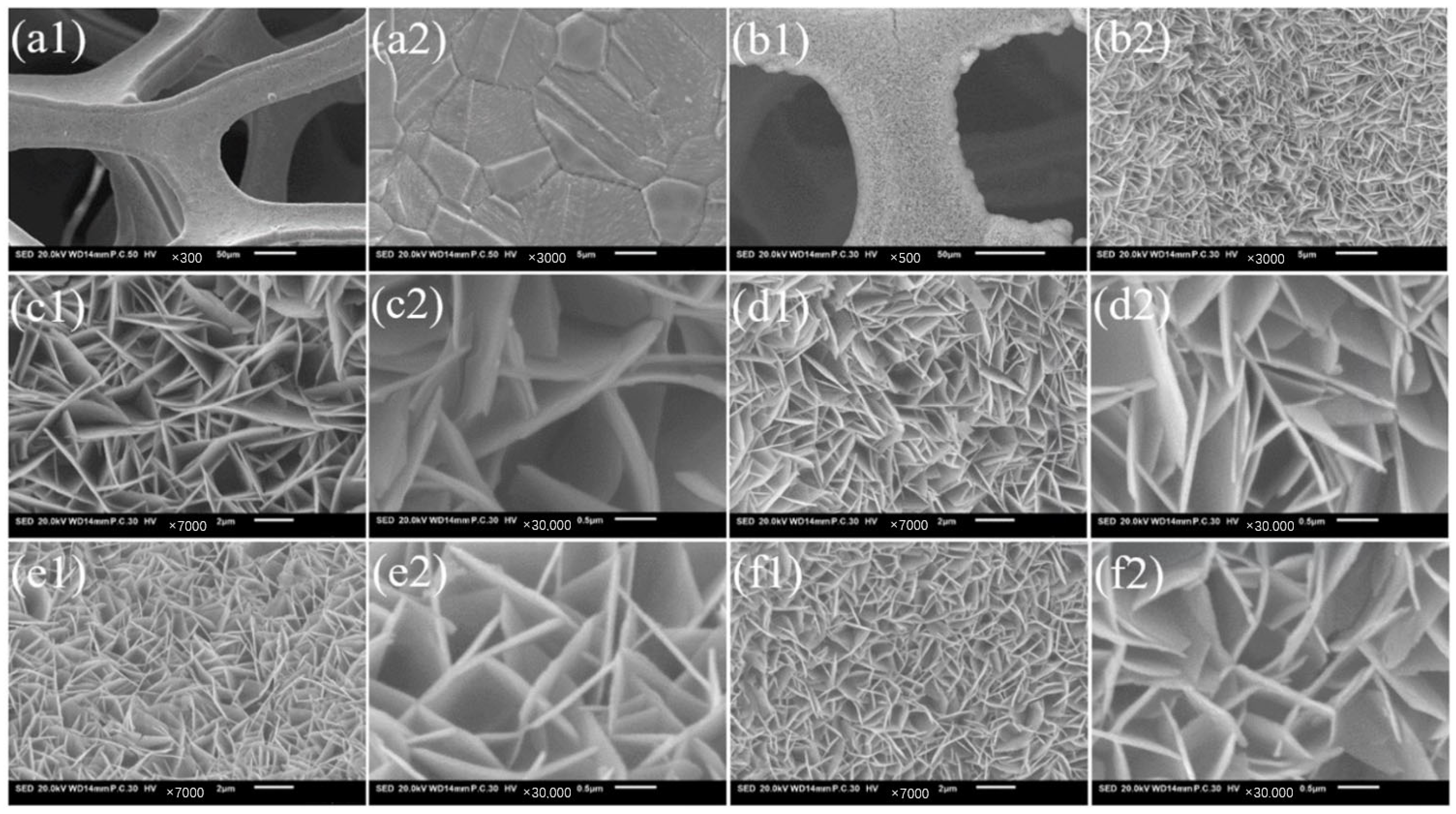 Molecules 30 00177 g001