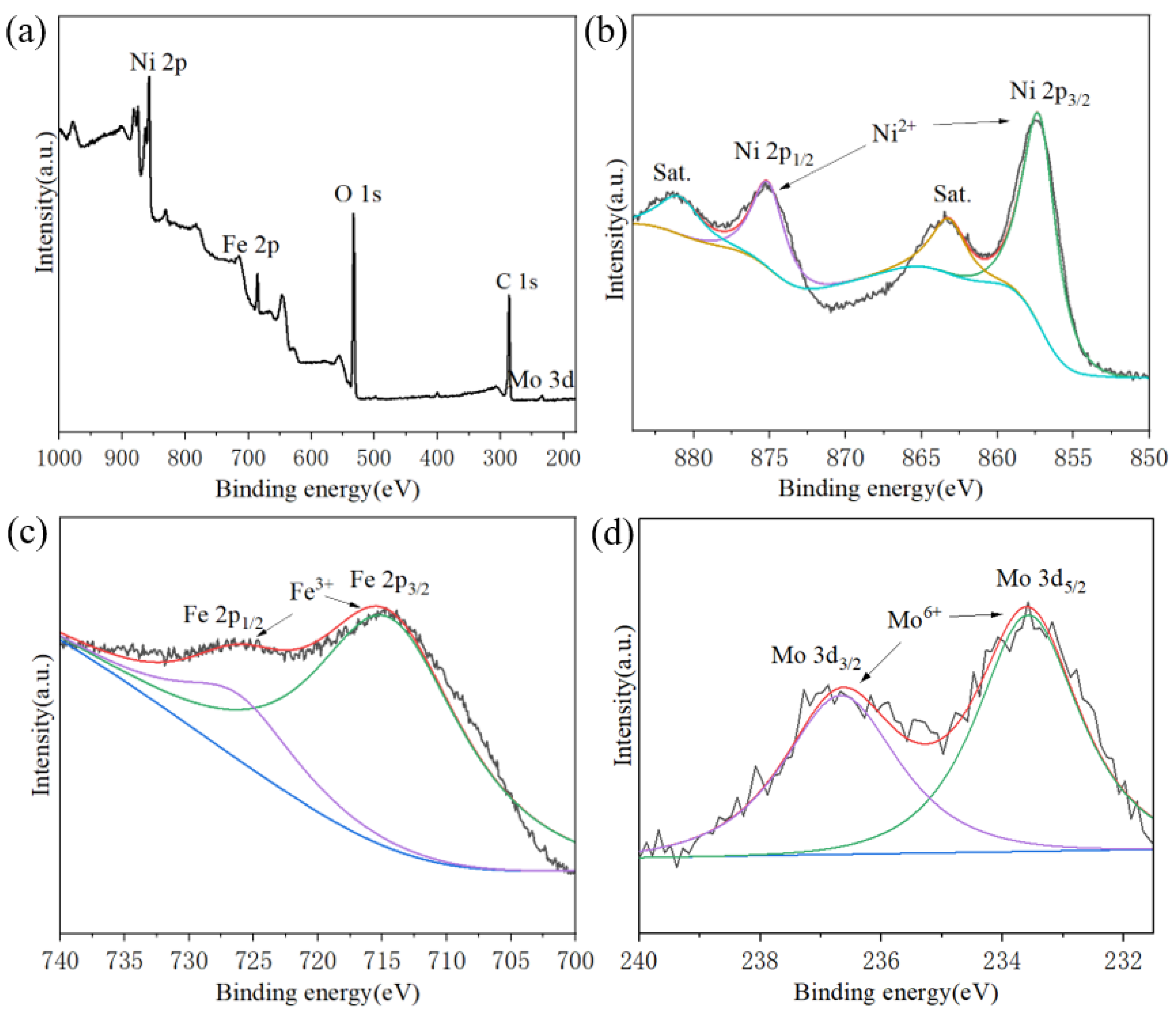 Molecules 30 00177 g005