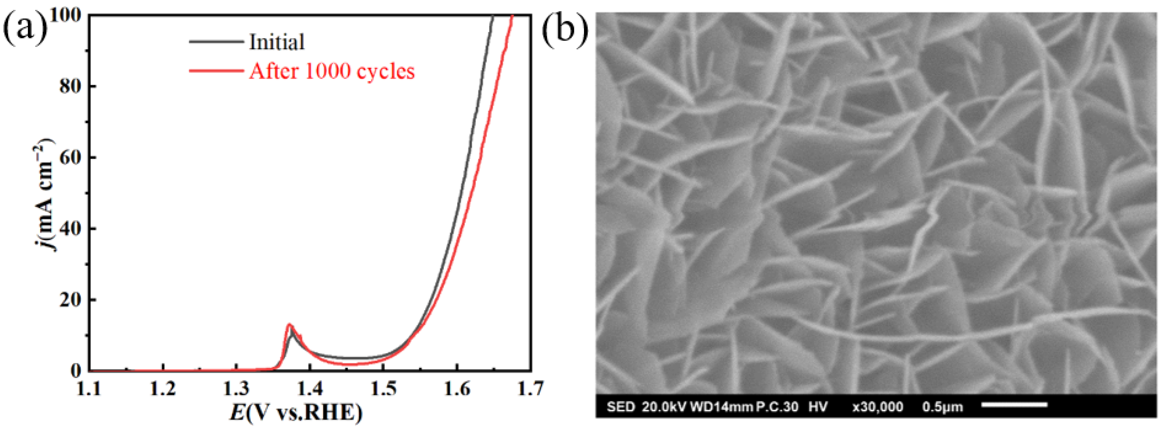 Molecules 30 00177 g008