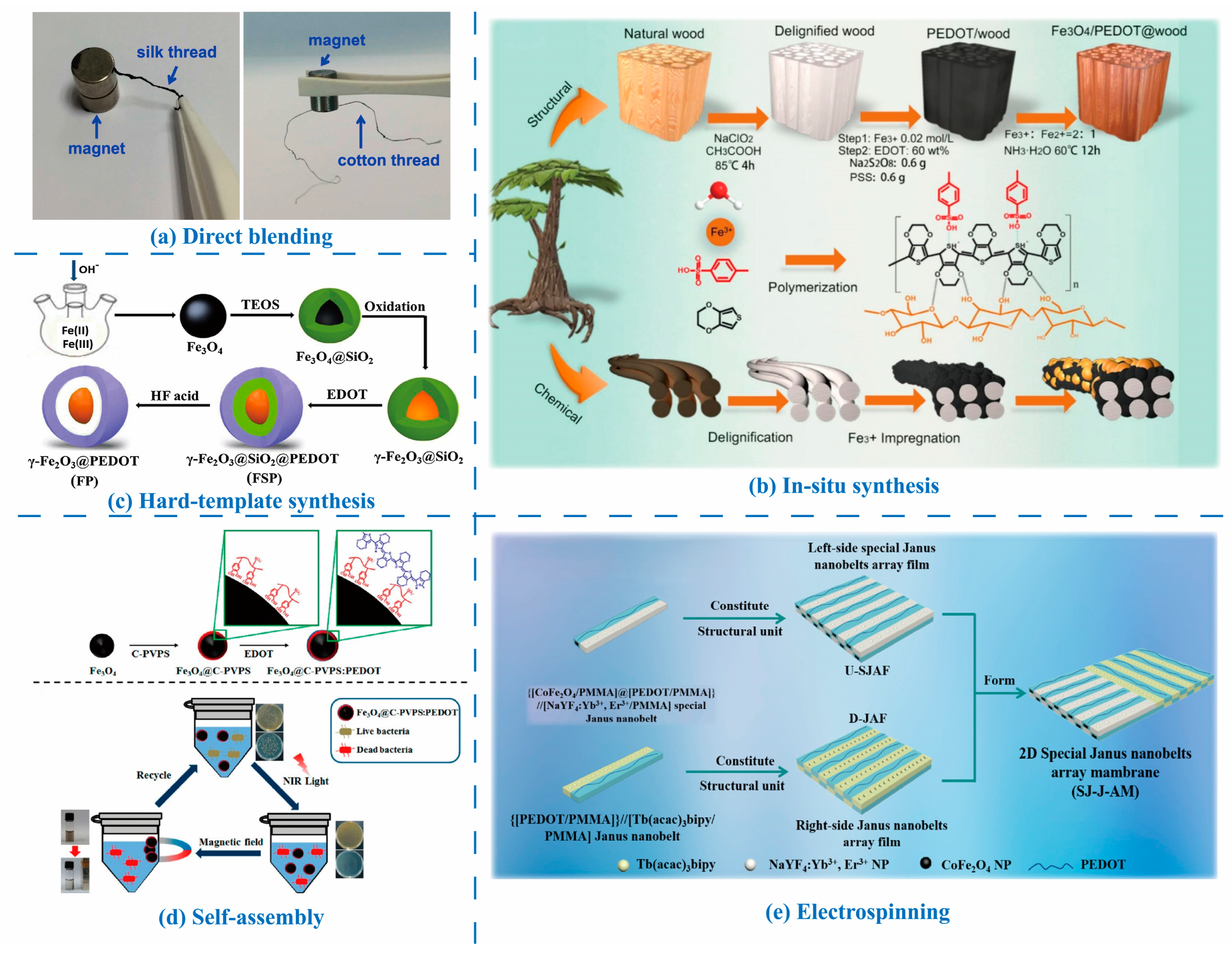Molecules 30 00179 g007 Molecules 30 00179 g007
