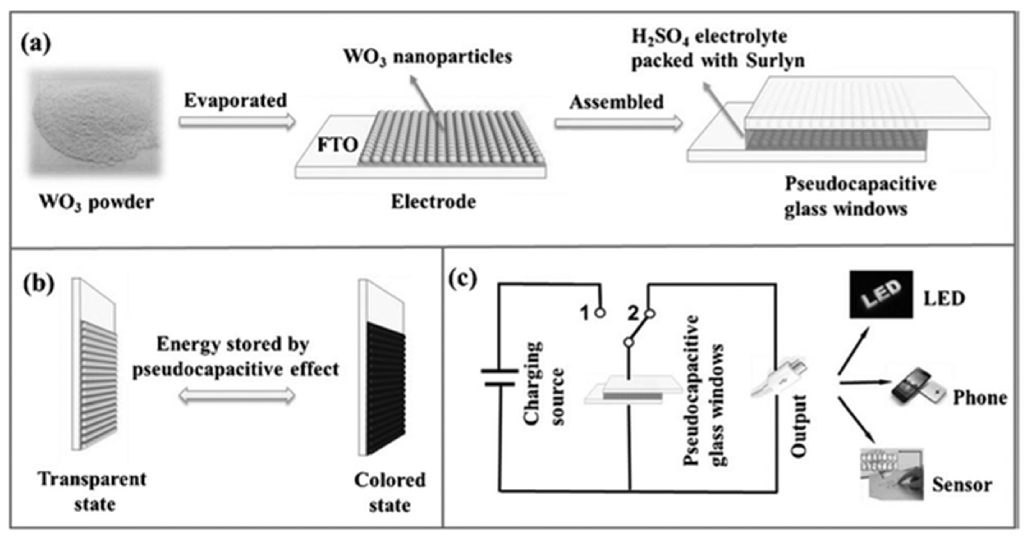 Molecules 30 00182 g002