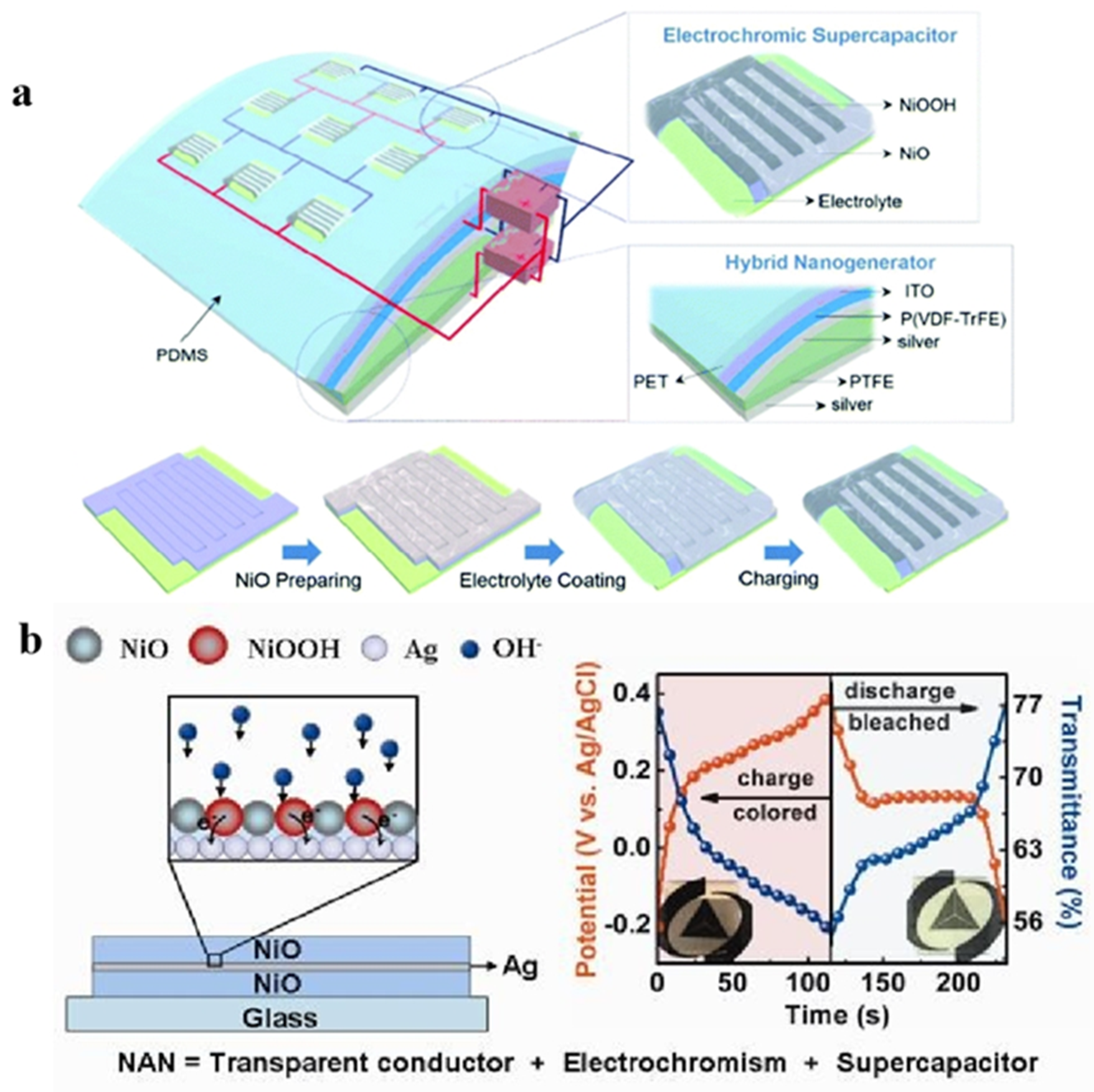 Molecules 30 00182 g004