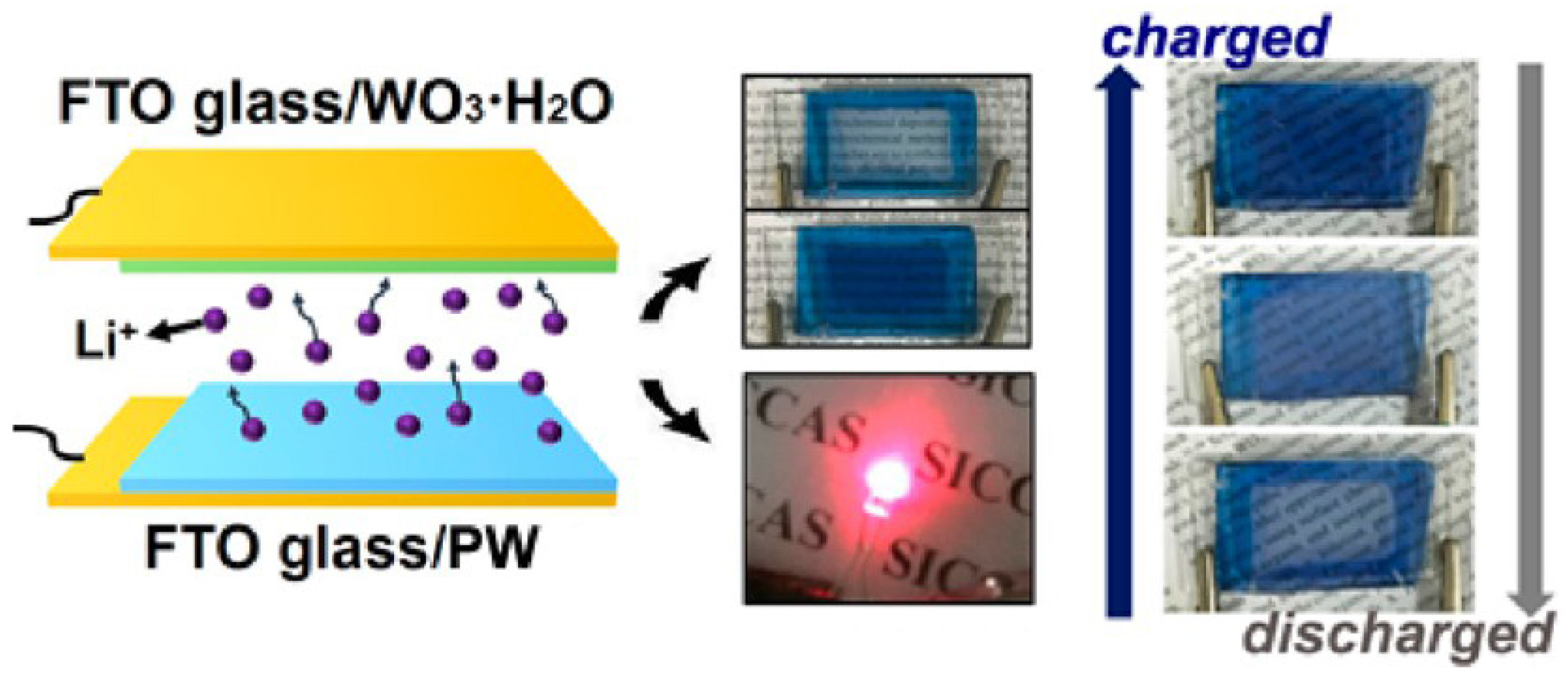 Molecules 30 00182 g005