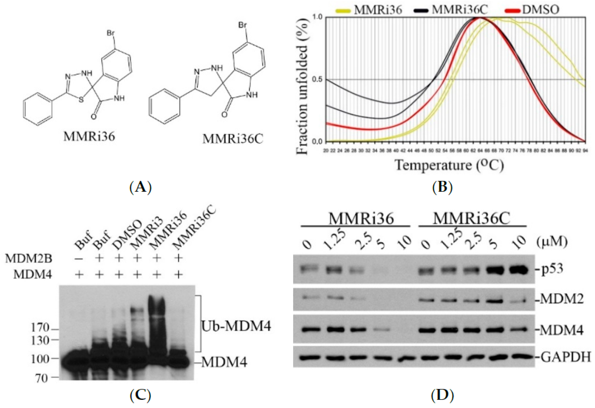 Molecules 30 00186 g005