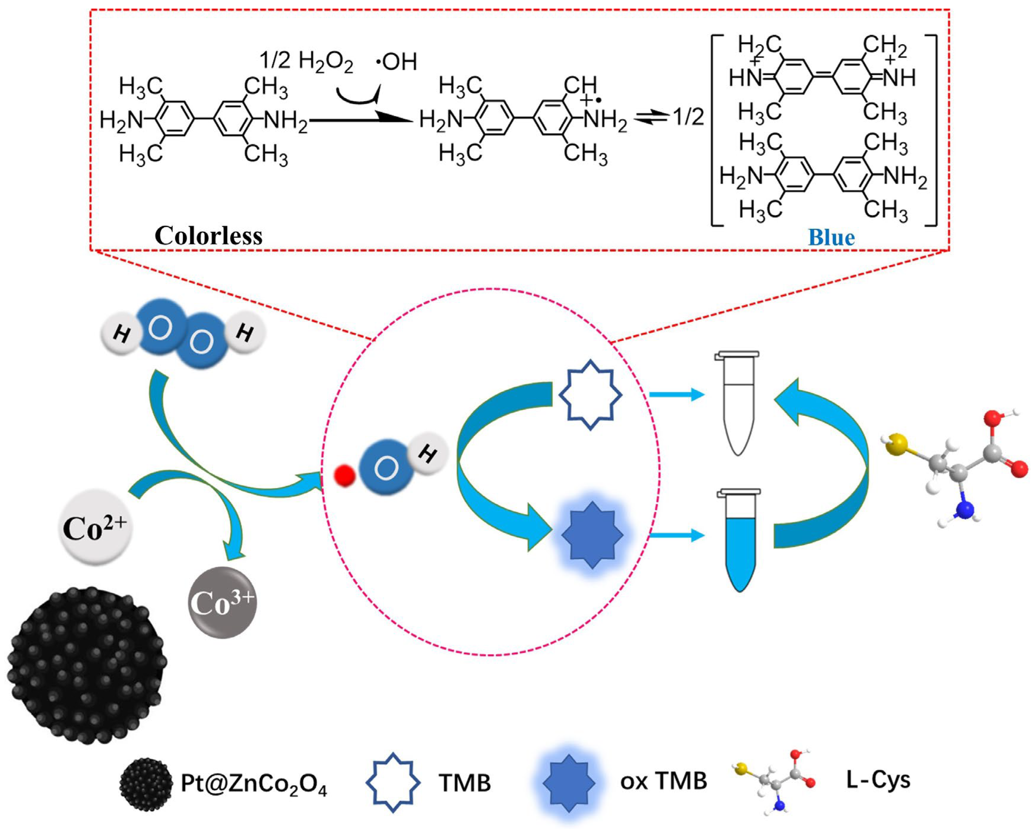 Molecules 30 00187 sch001