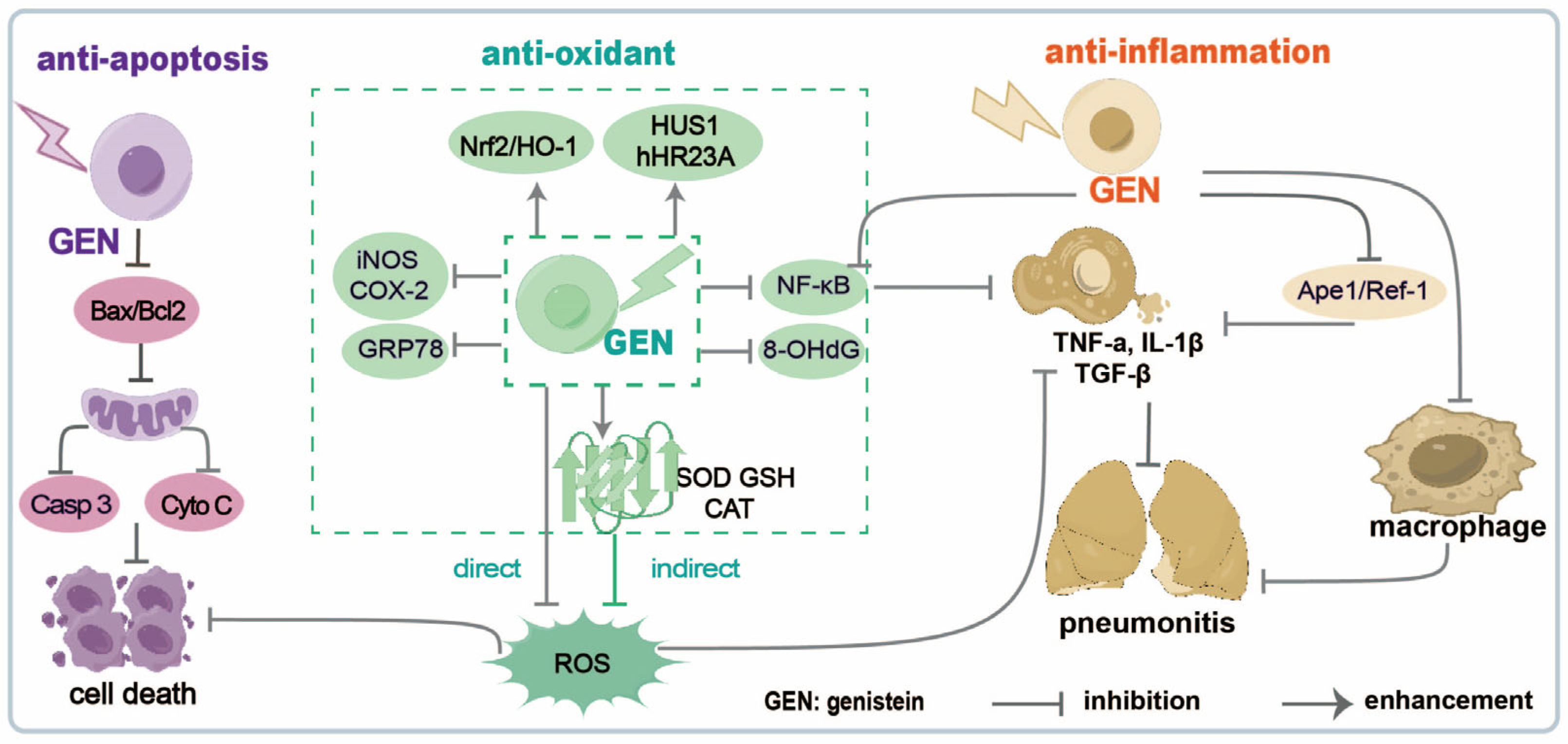 Molecules 30 00188 g001