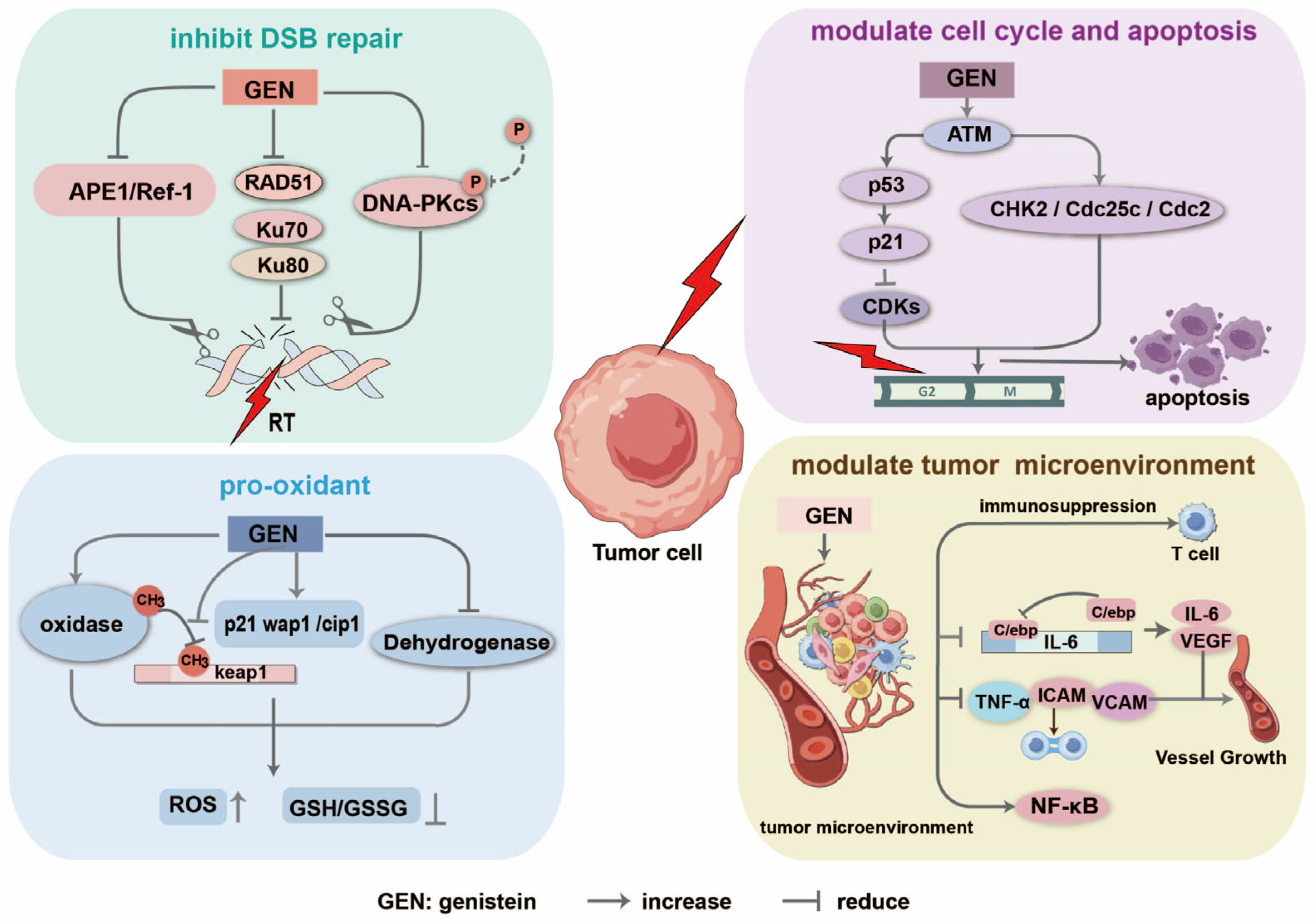 Molecules 30 00188 g002