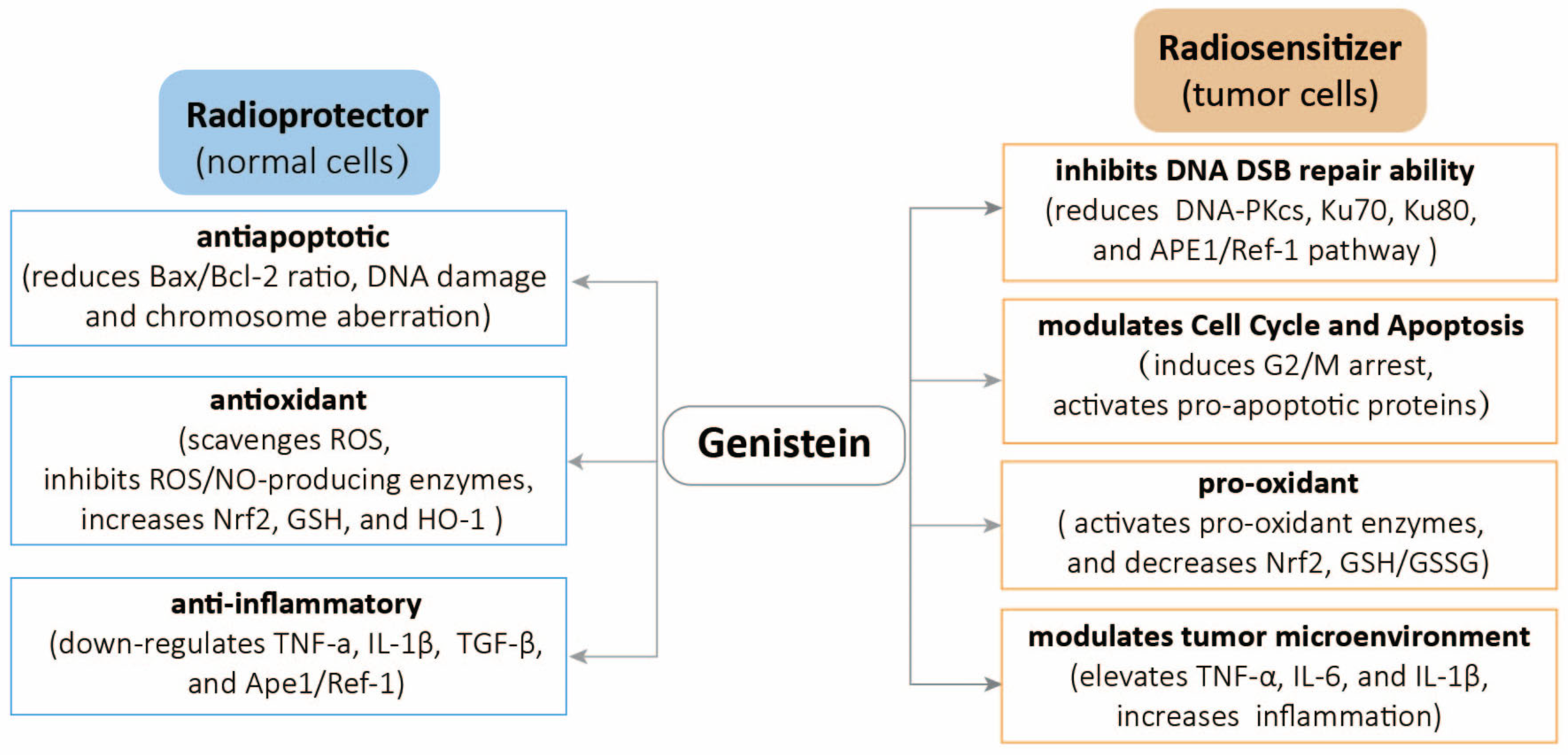Molecules 30 00188 g003
