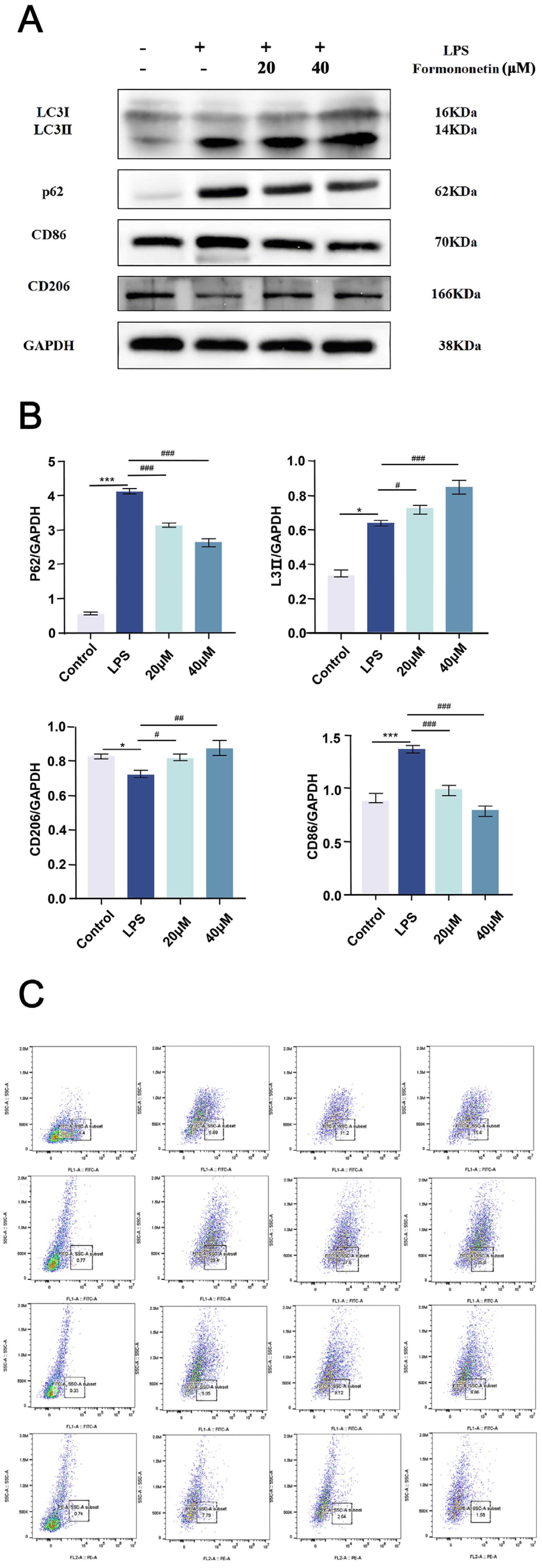 Molecules 30 00196 g006