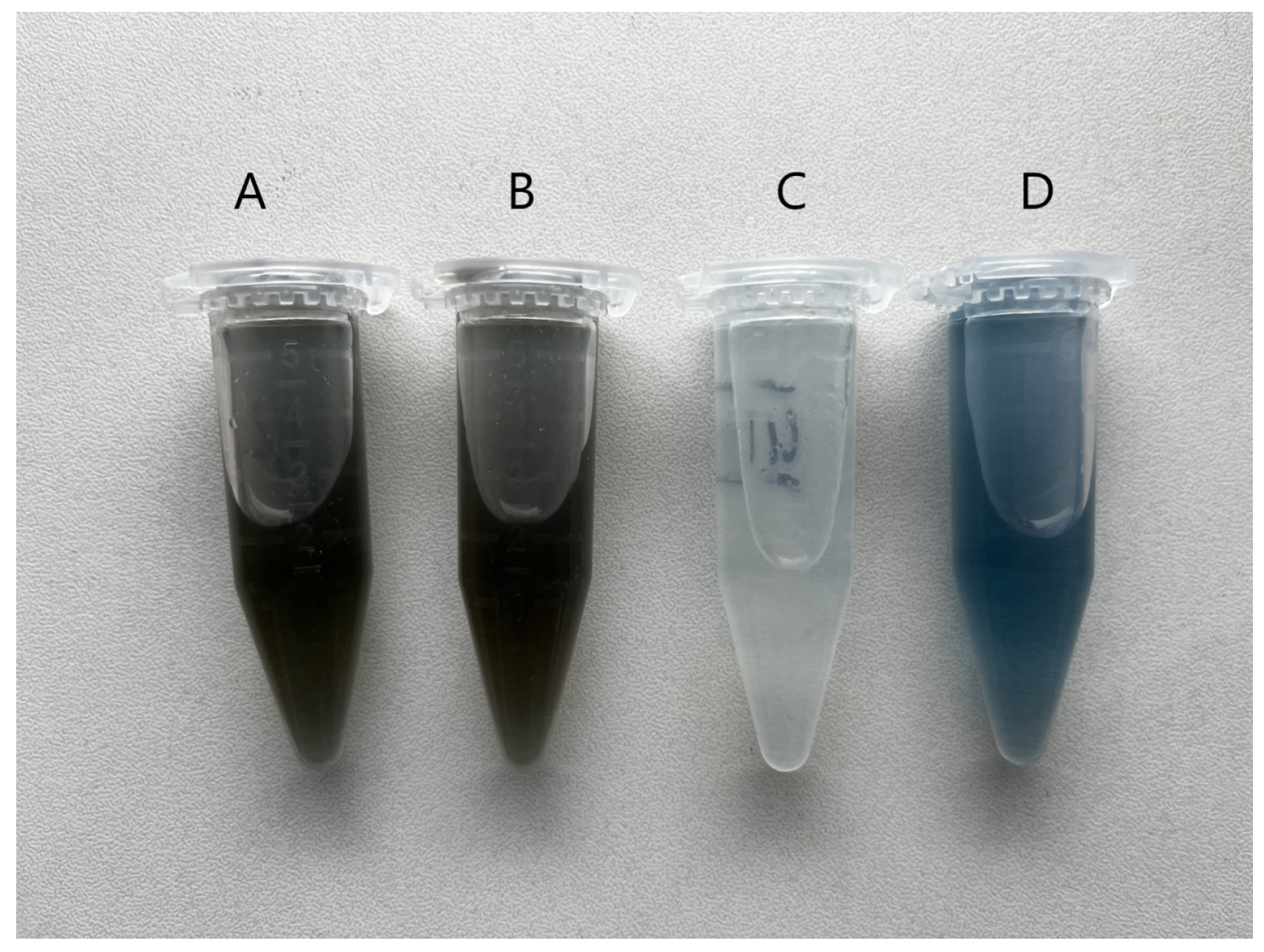 Molecules 30 00197 g001