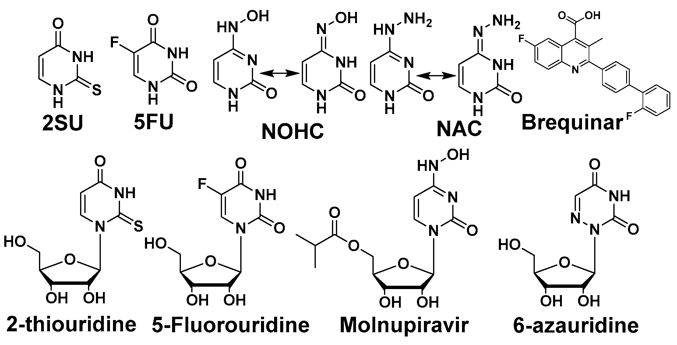 Molecules 30 00210 g003