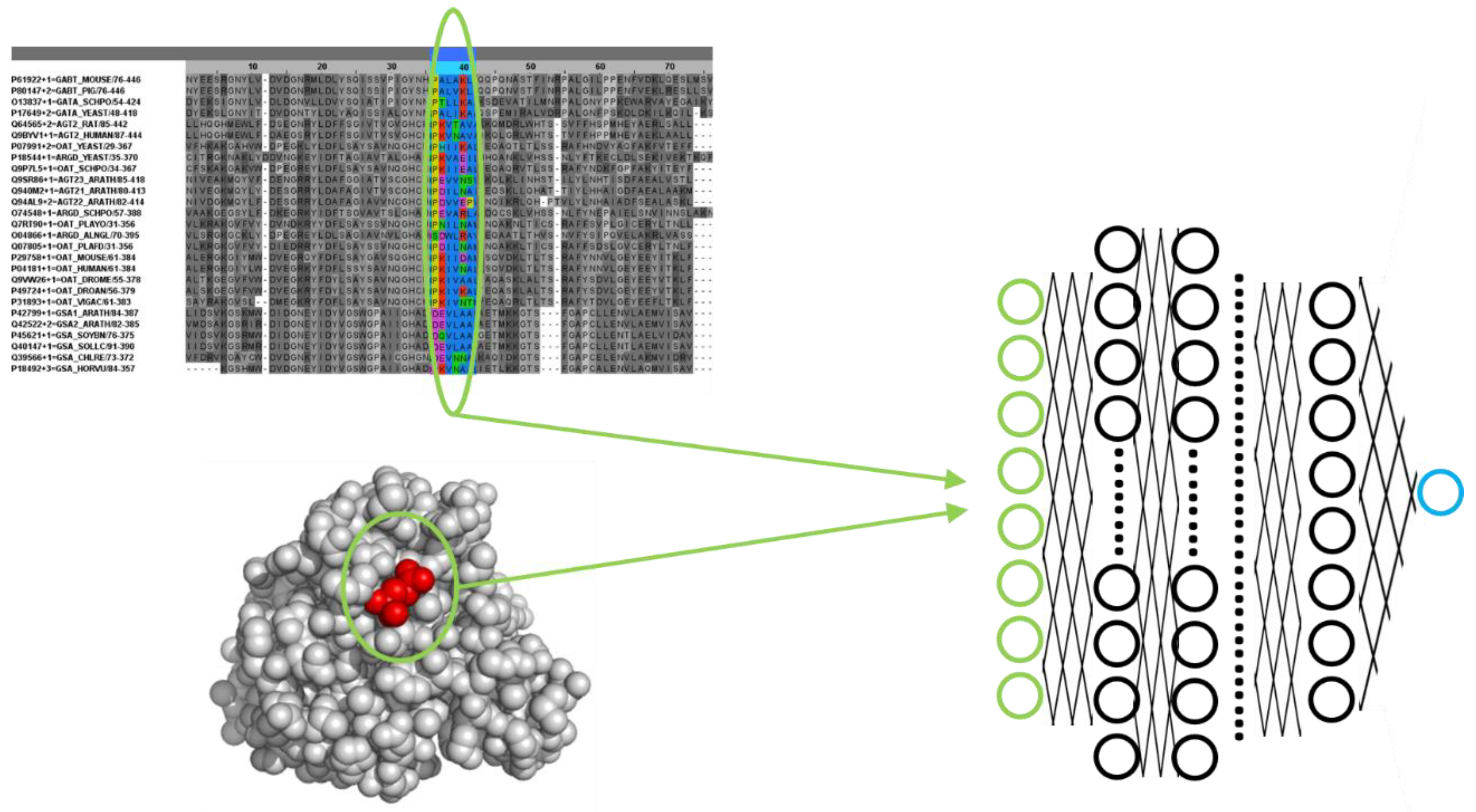 Molecules 30 00214 g002