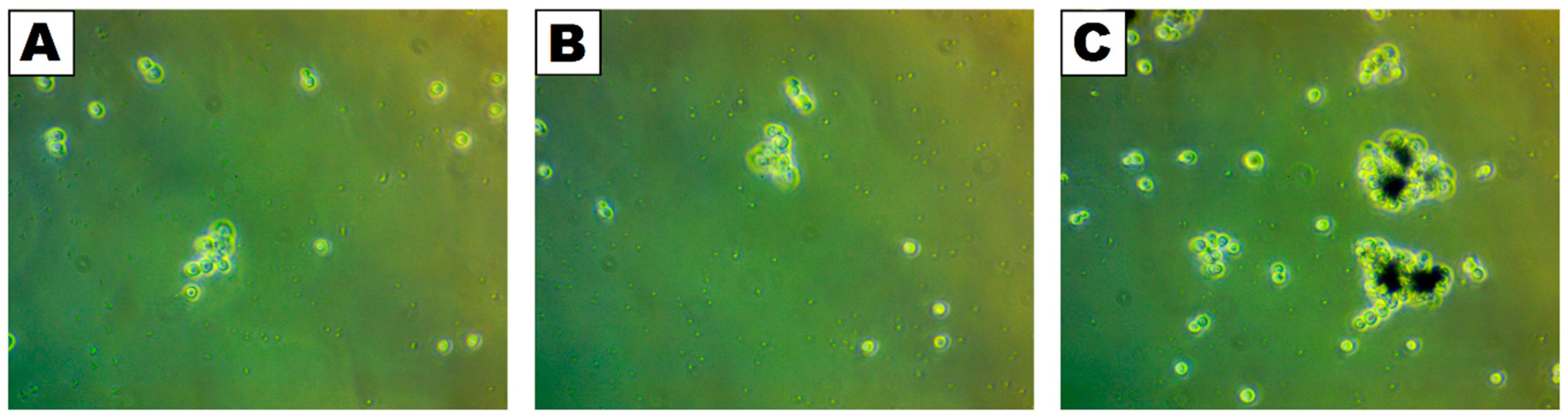 Molecules 30 00221 g003