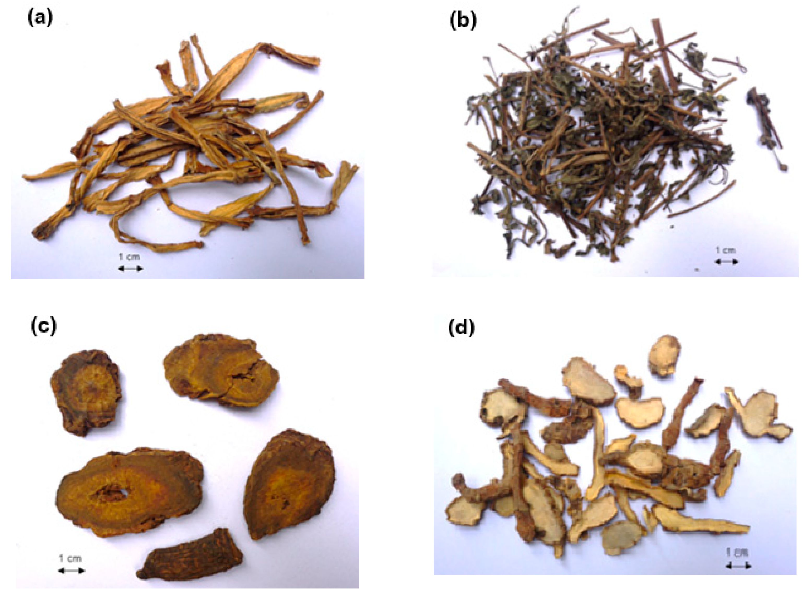 Molecules 30 00222 g001
