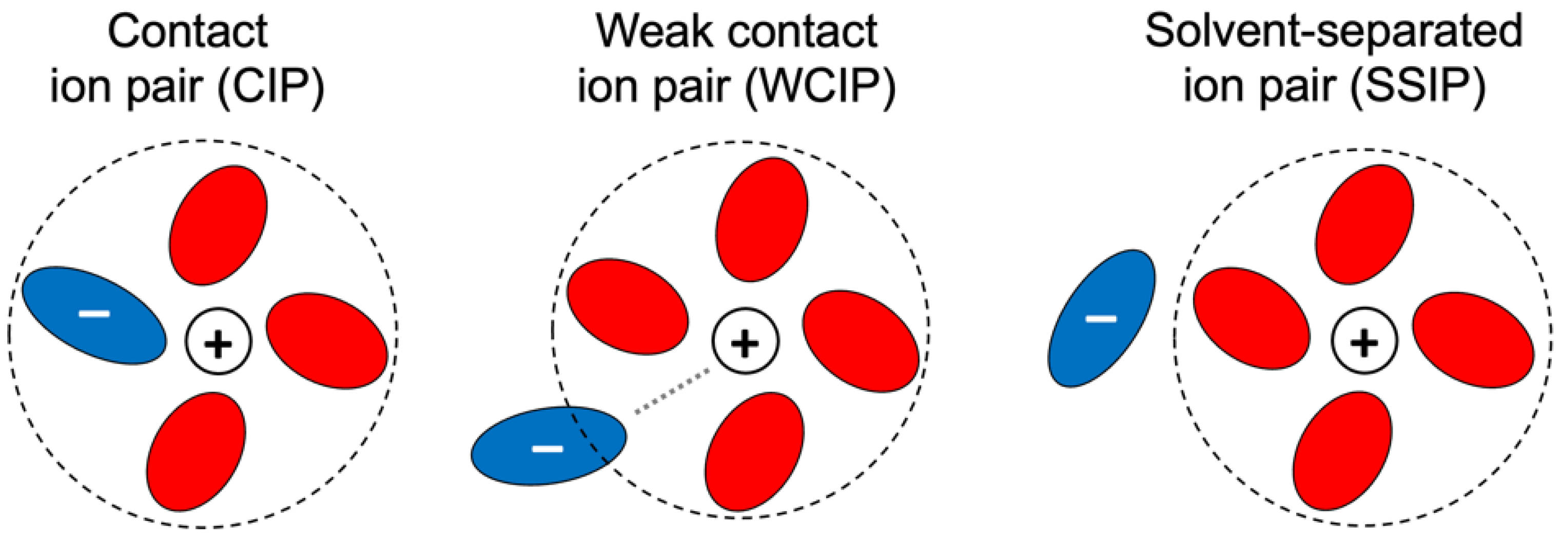 Molecules 30 00230 g006
