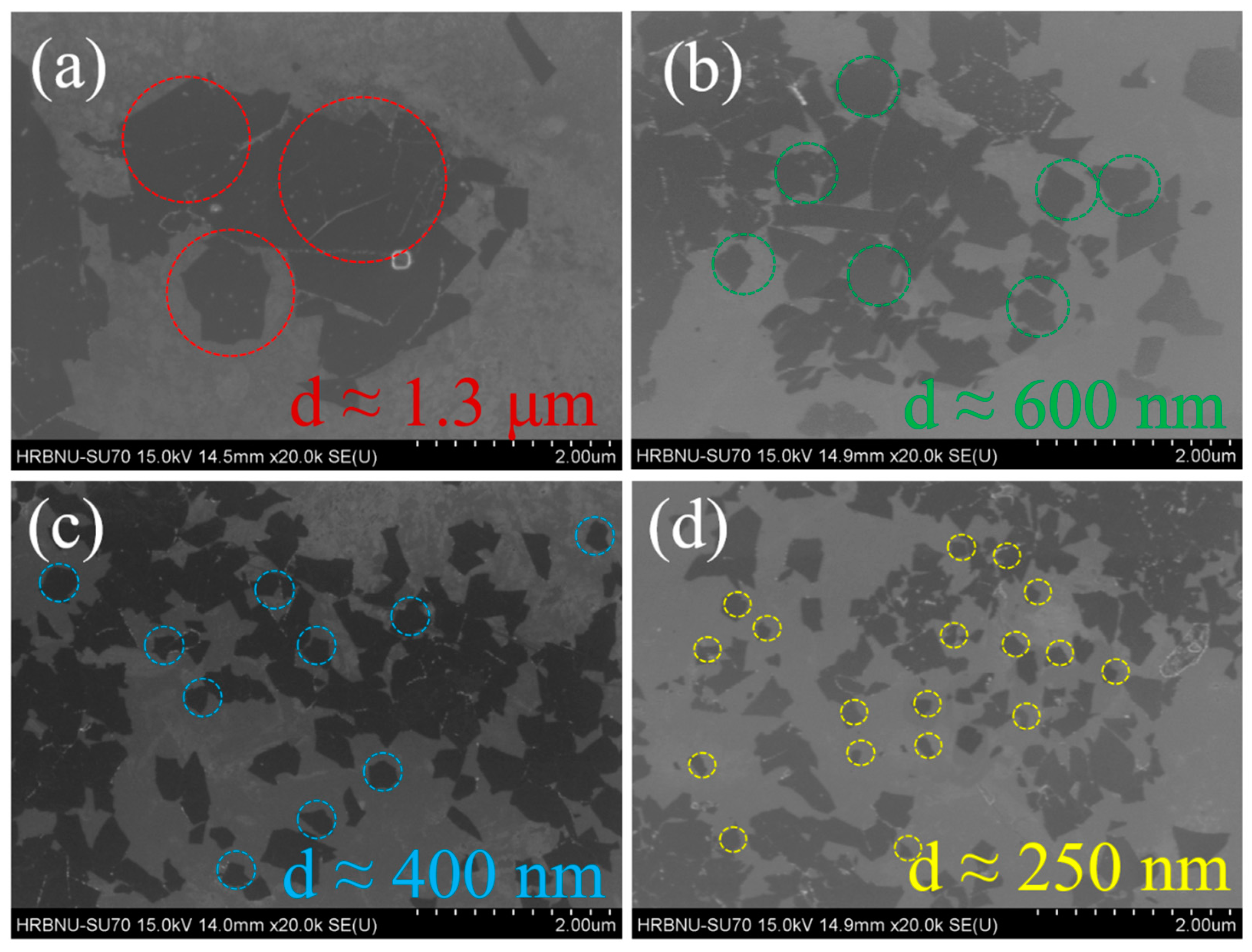 Molecules 30 00241 g002 Molecules 30 00241 g002