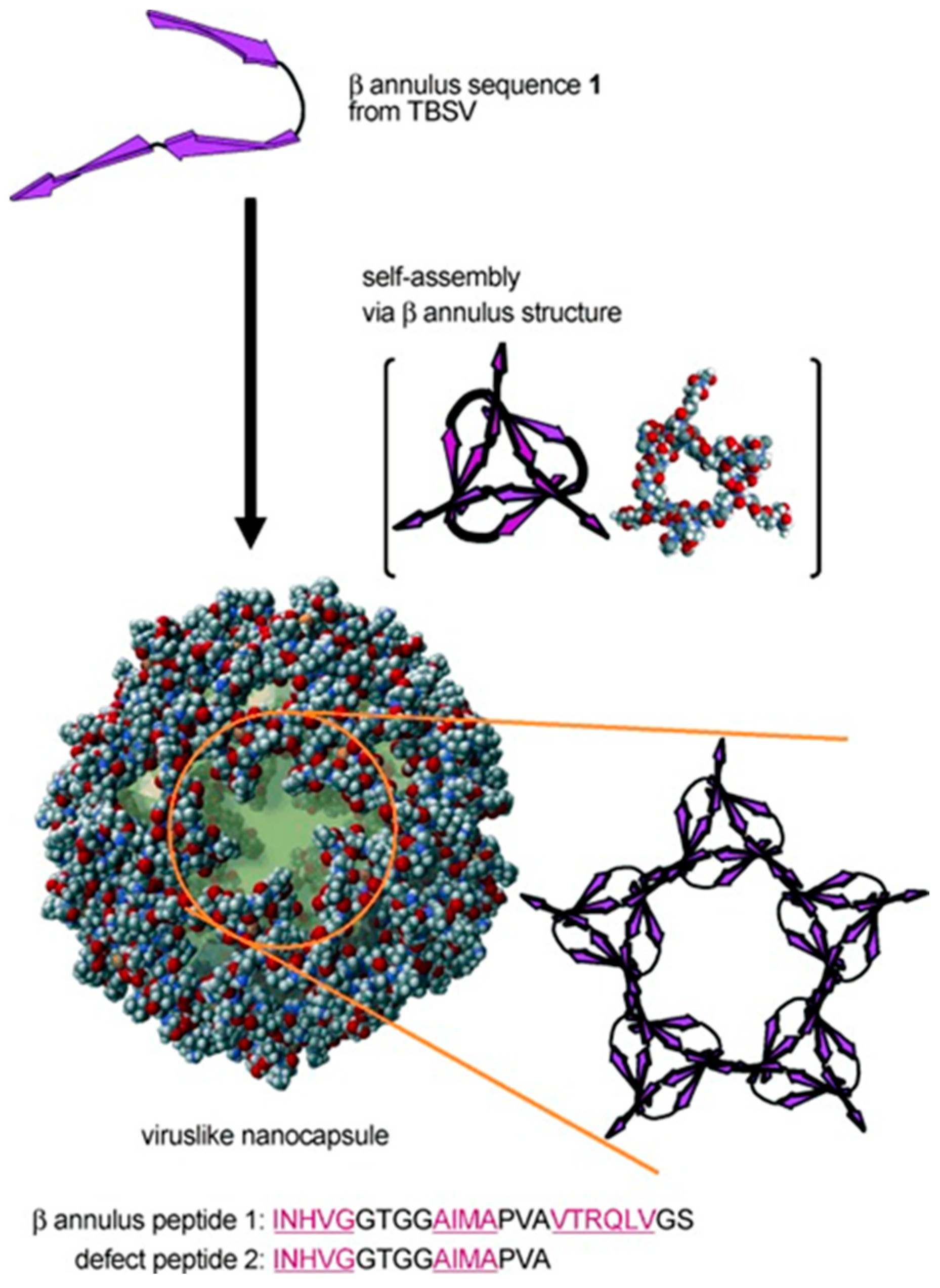 Molecules 30 00242 g002