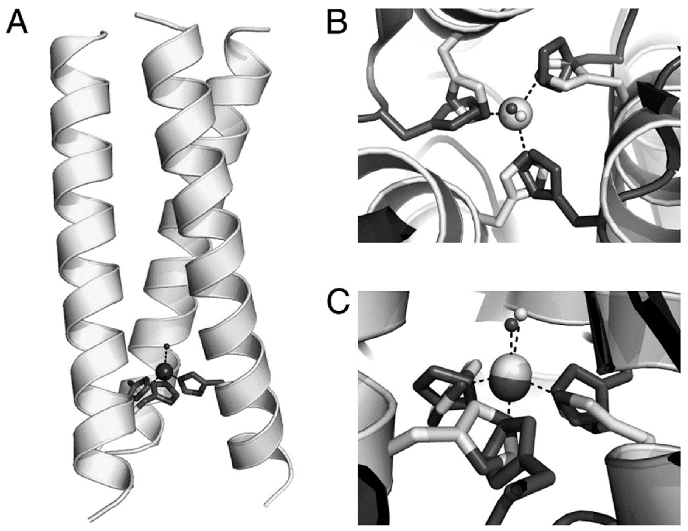 Molecules 30 00242 g003