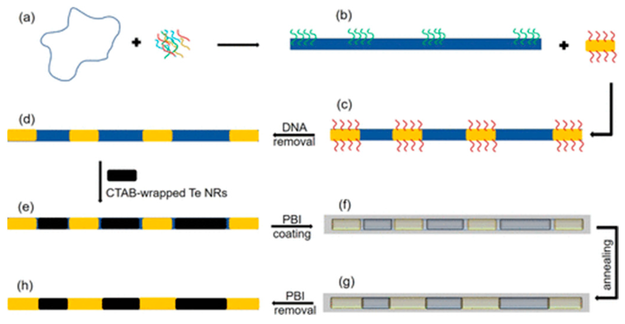 Molecules 30 00242 g007