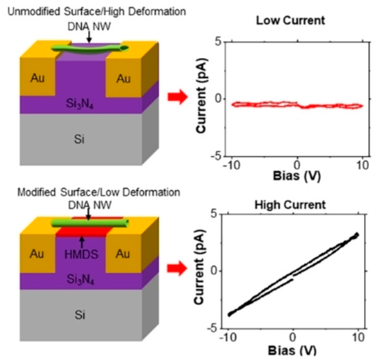 Molecules 30 00242 g008