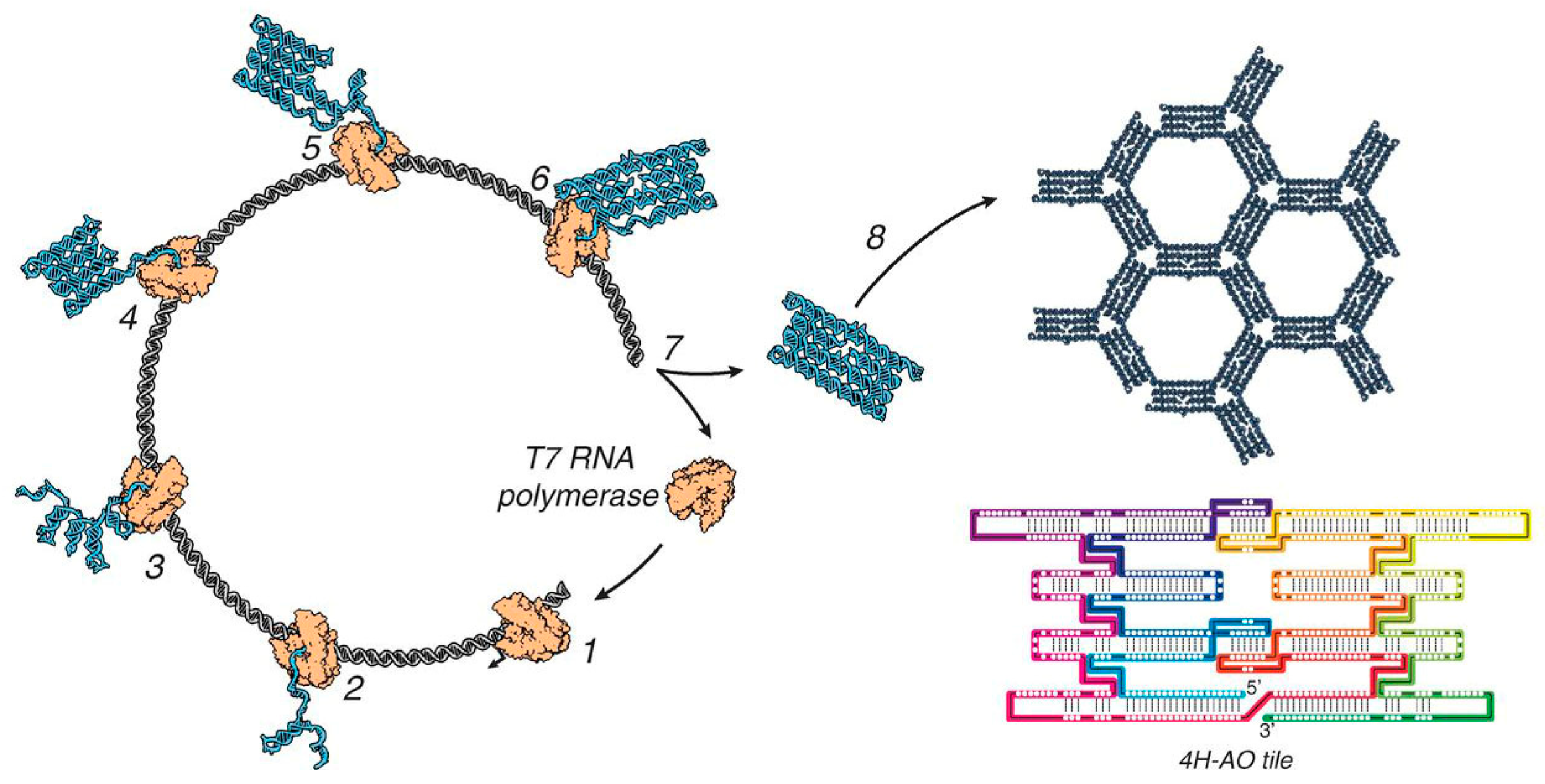 Molecules 30 00242 g009
