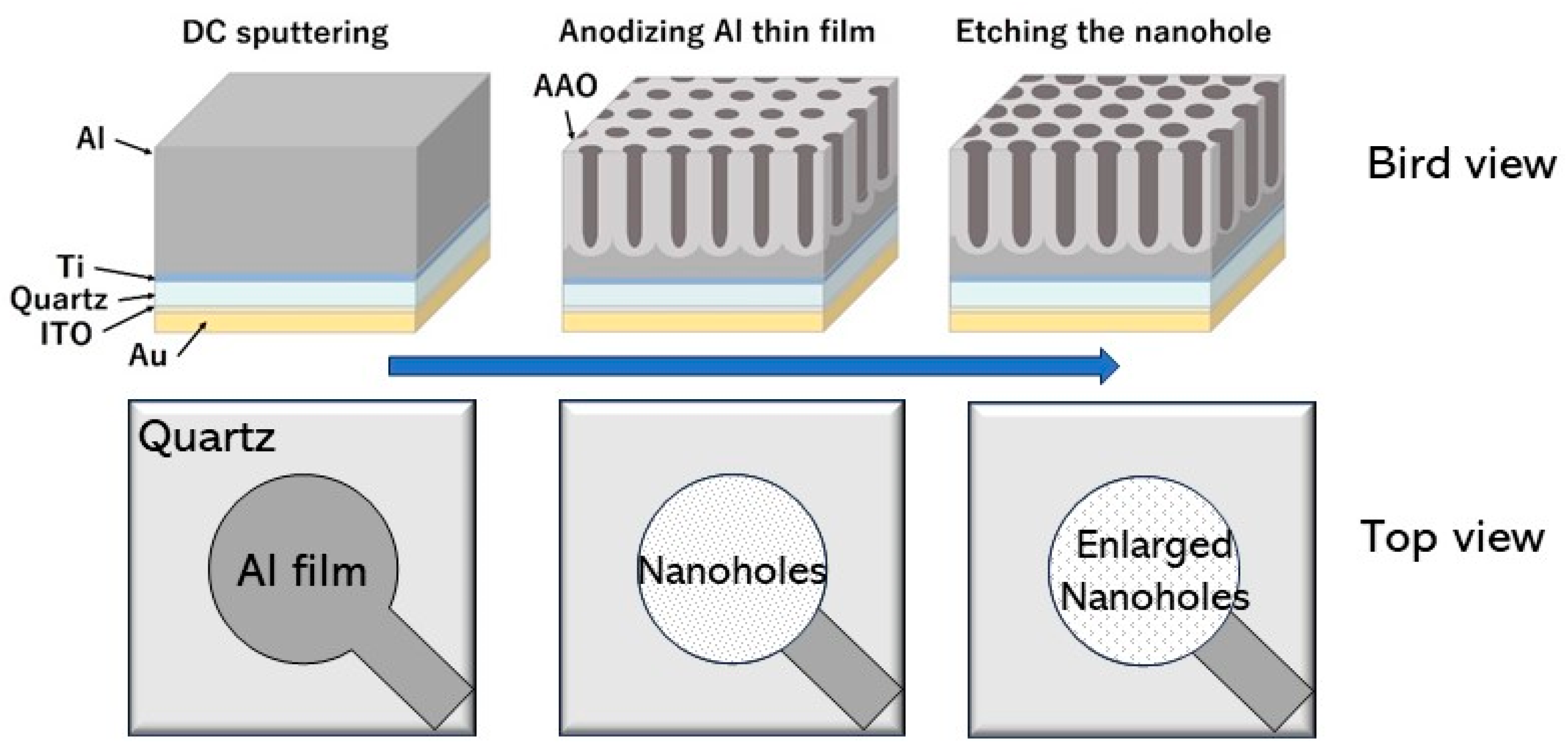 Molecules 30 00242 g011