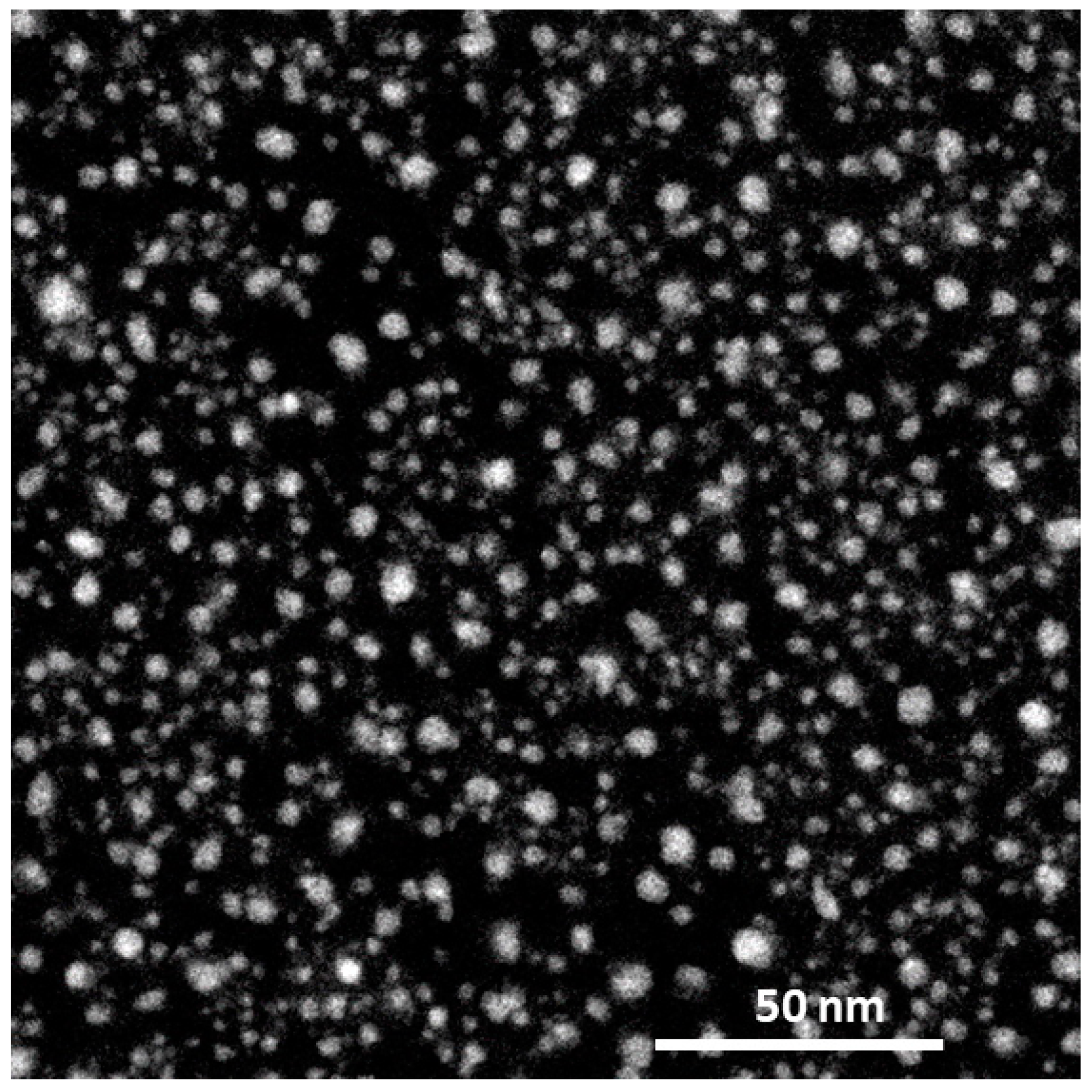 Molecules 30 00242 g012