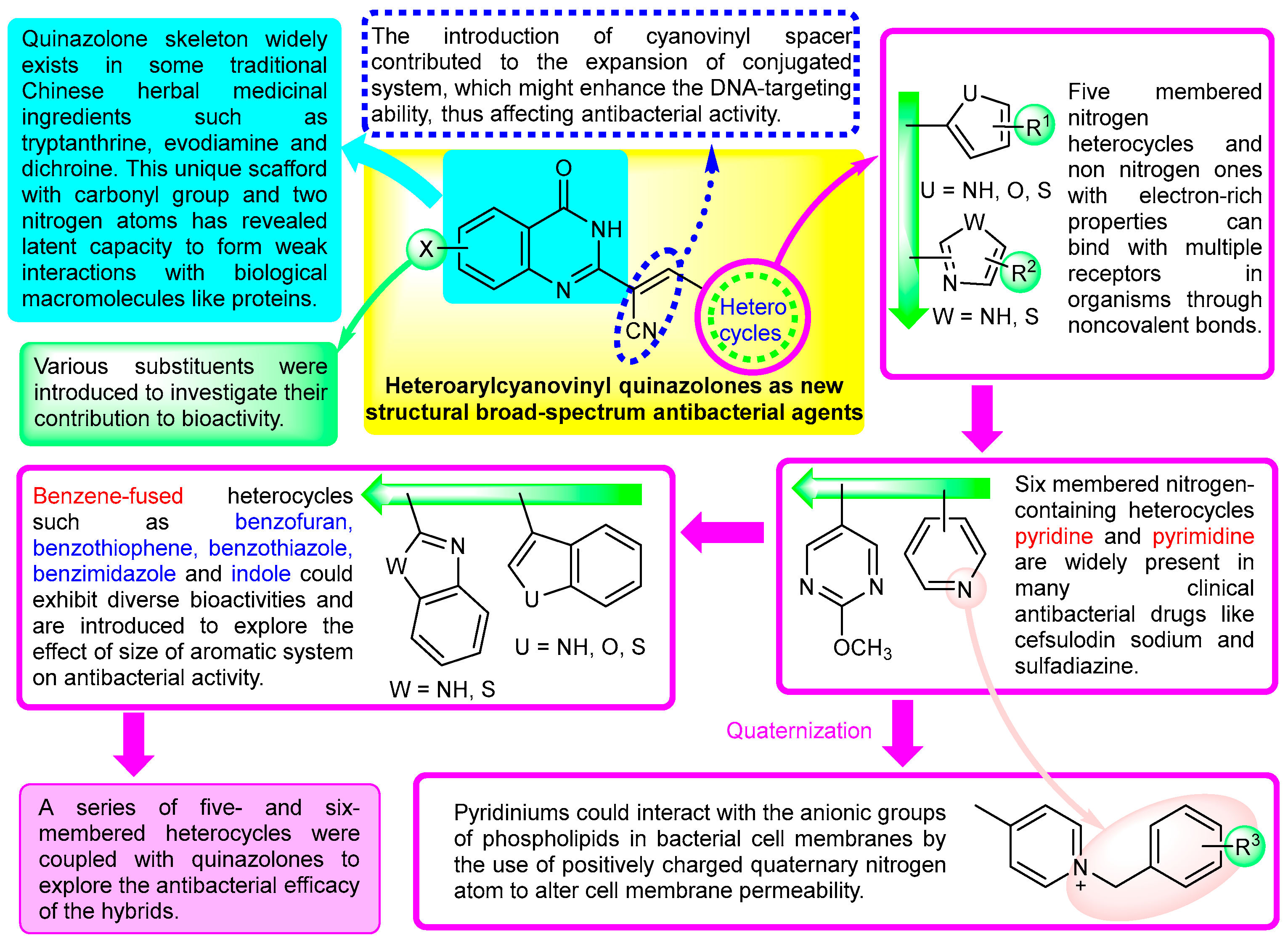 Molecules 30 00243 g001