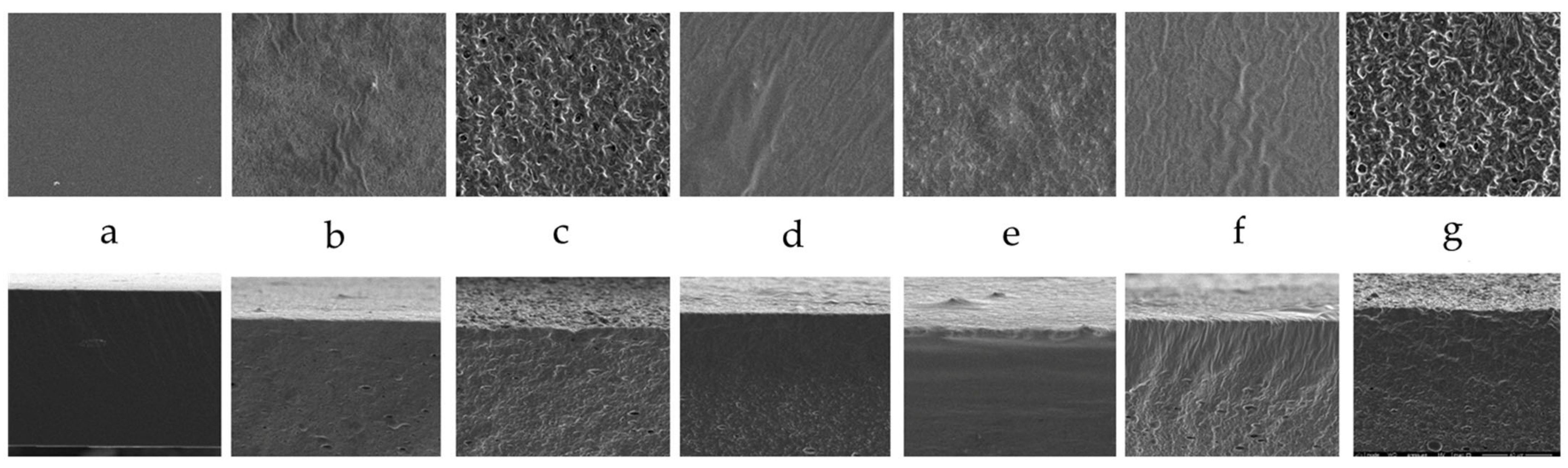 Molecules 30 00245 g002