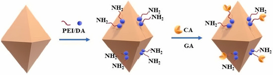 Recent Progress in Enzyme Immobilization to Metal–Organic
