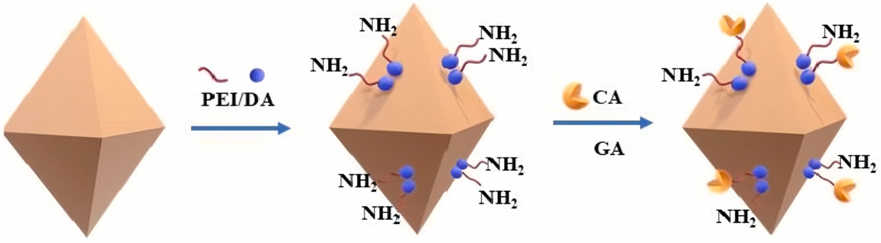 Molecules 30 00251 g003