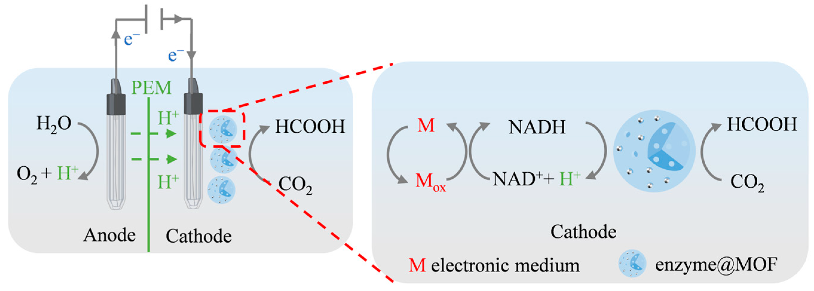 Molecules 30 00251 g005