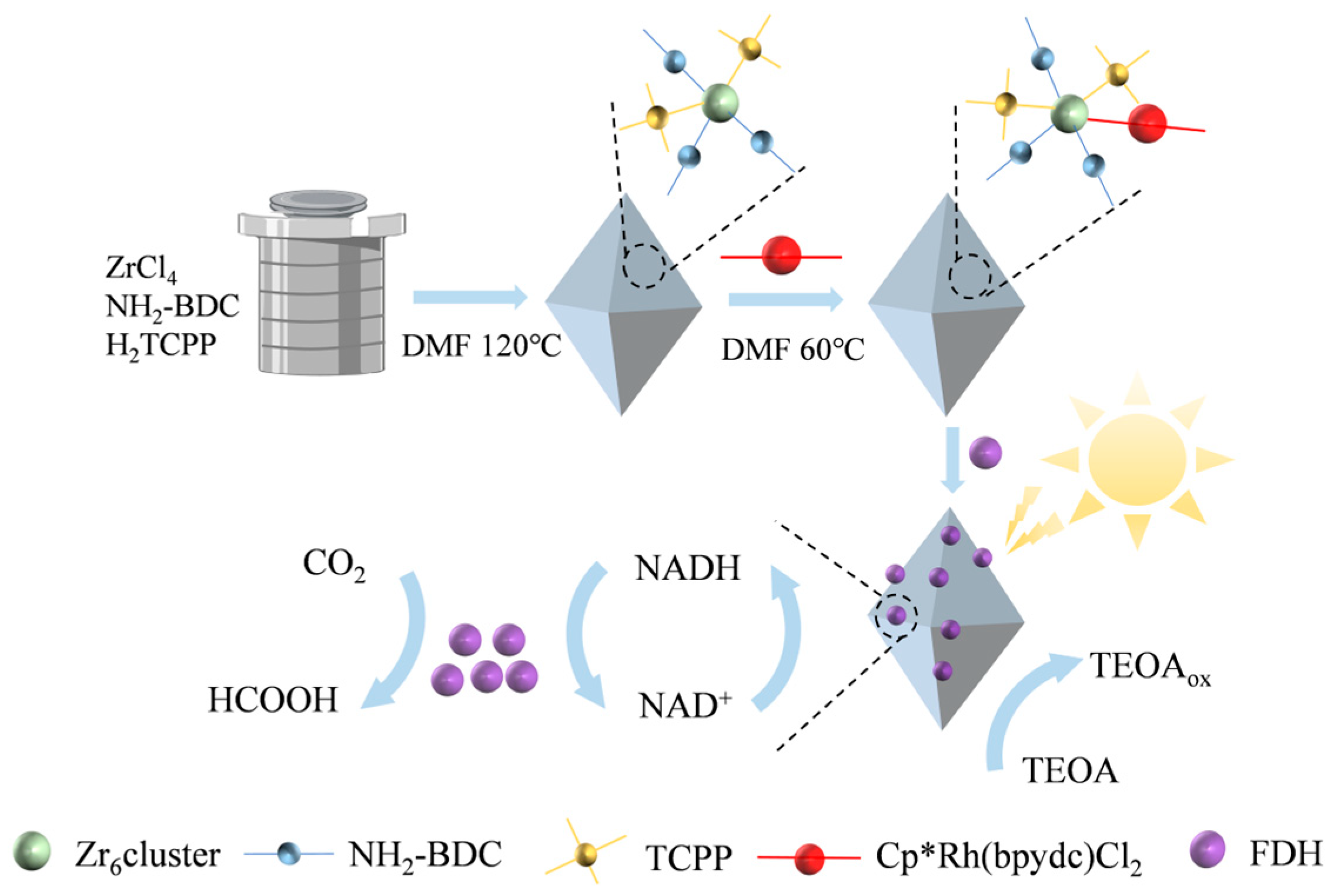 Molecules 30 00251 g006