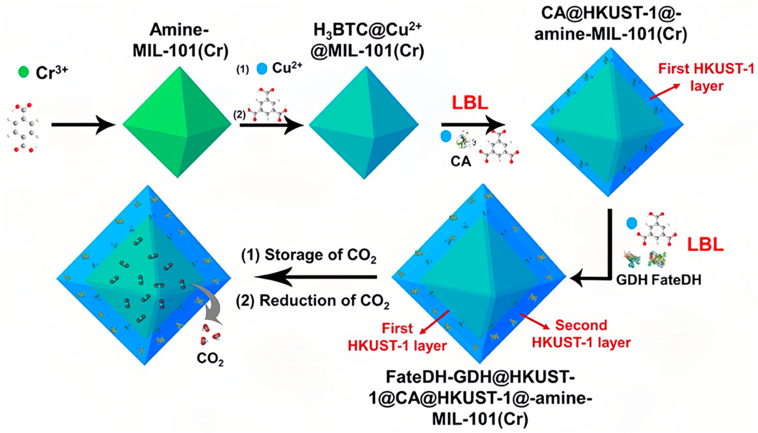 Molecules 30 00251 g007